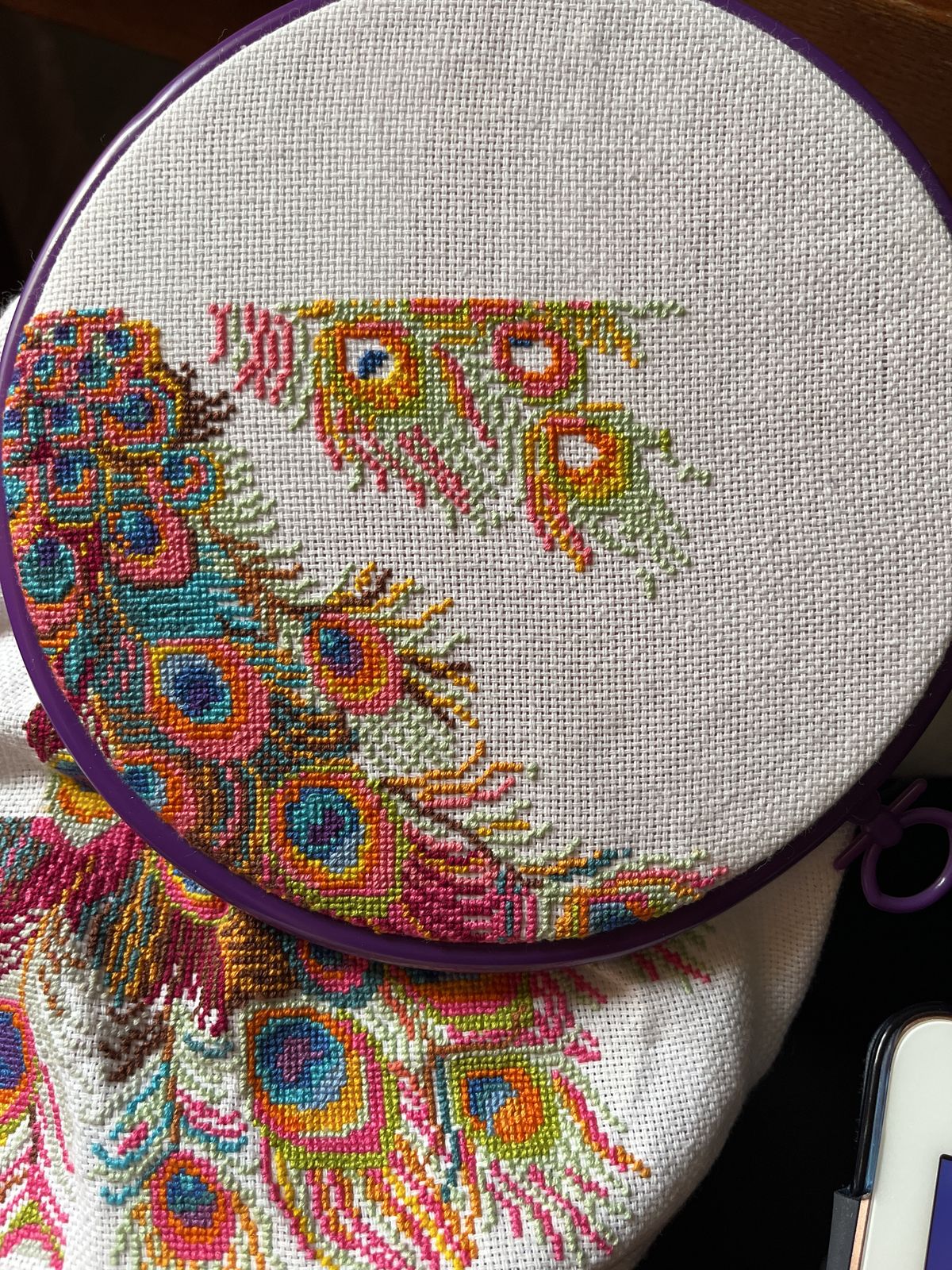 Meadow Feather Hoop Art