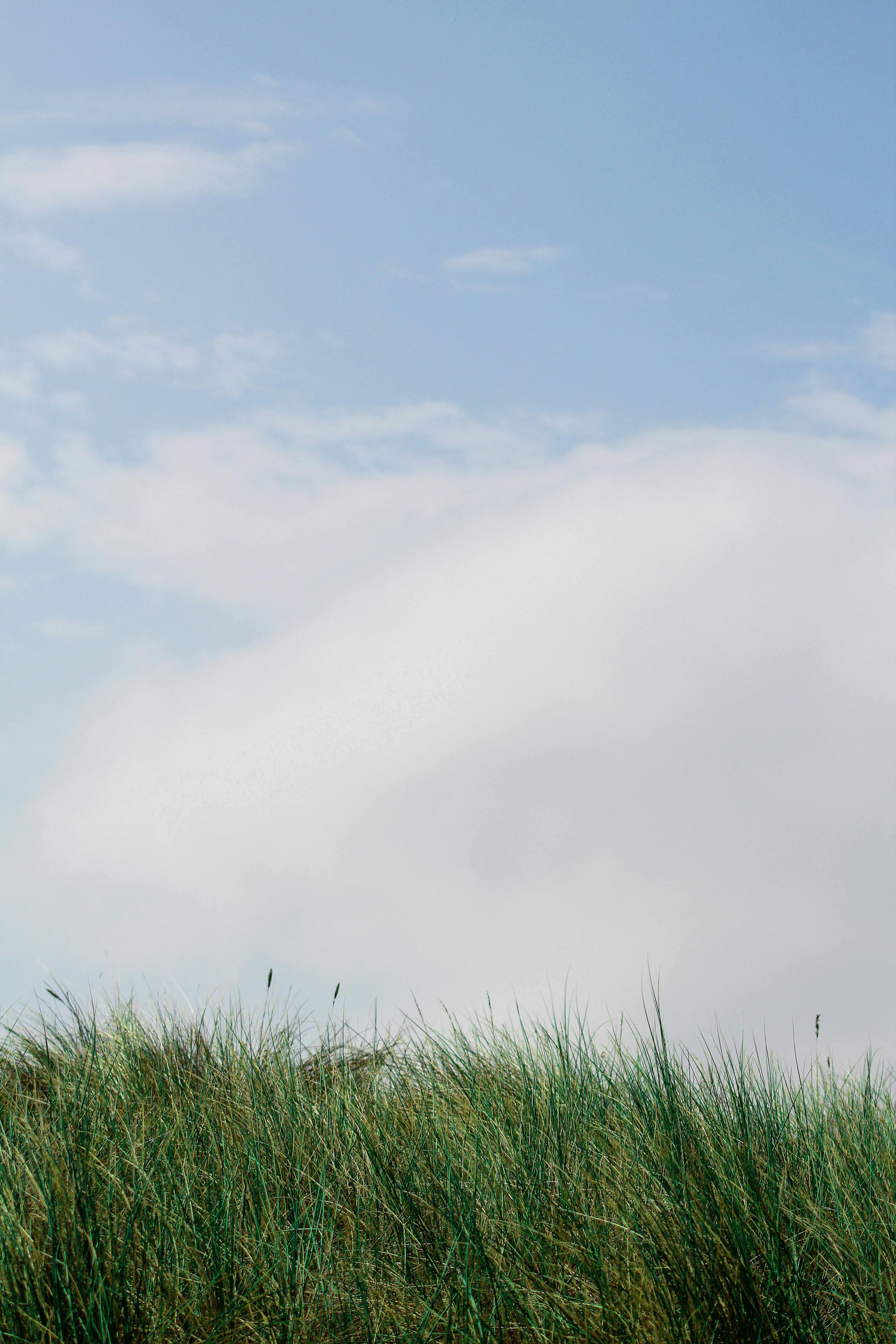 Gratuit Scenă liniștită cu iarbă verde sub un cer albastru senin cu nori pufoși. Fotografie de stoc