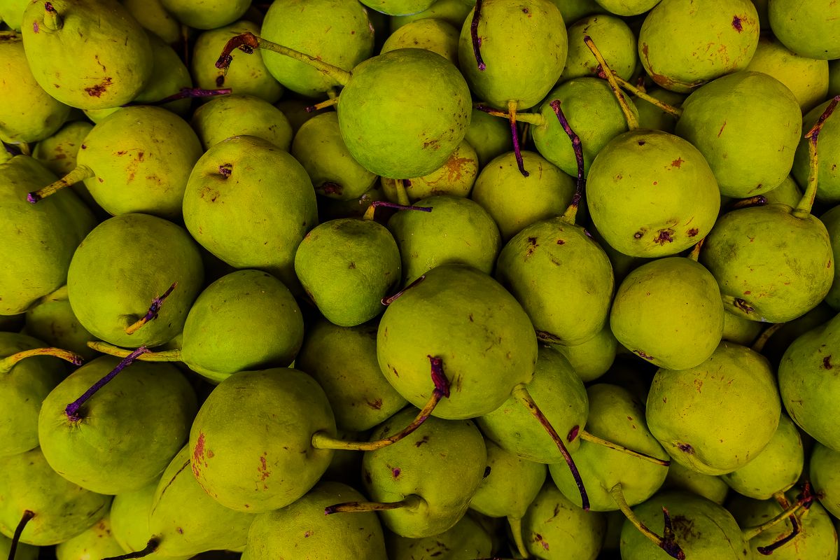Poire : bienfaits, variétés et digestion - Les principales variétés de poires à connaître