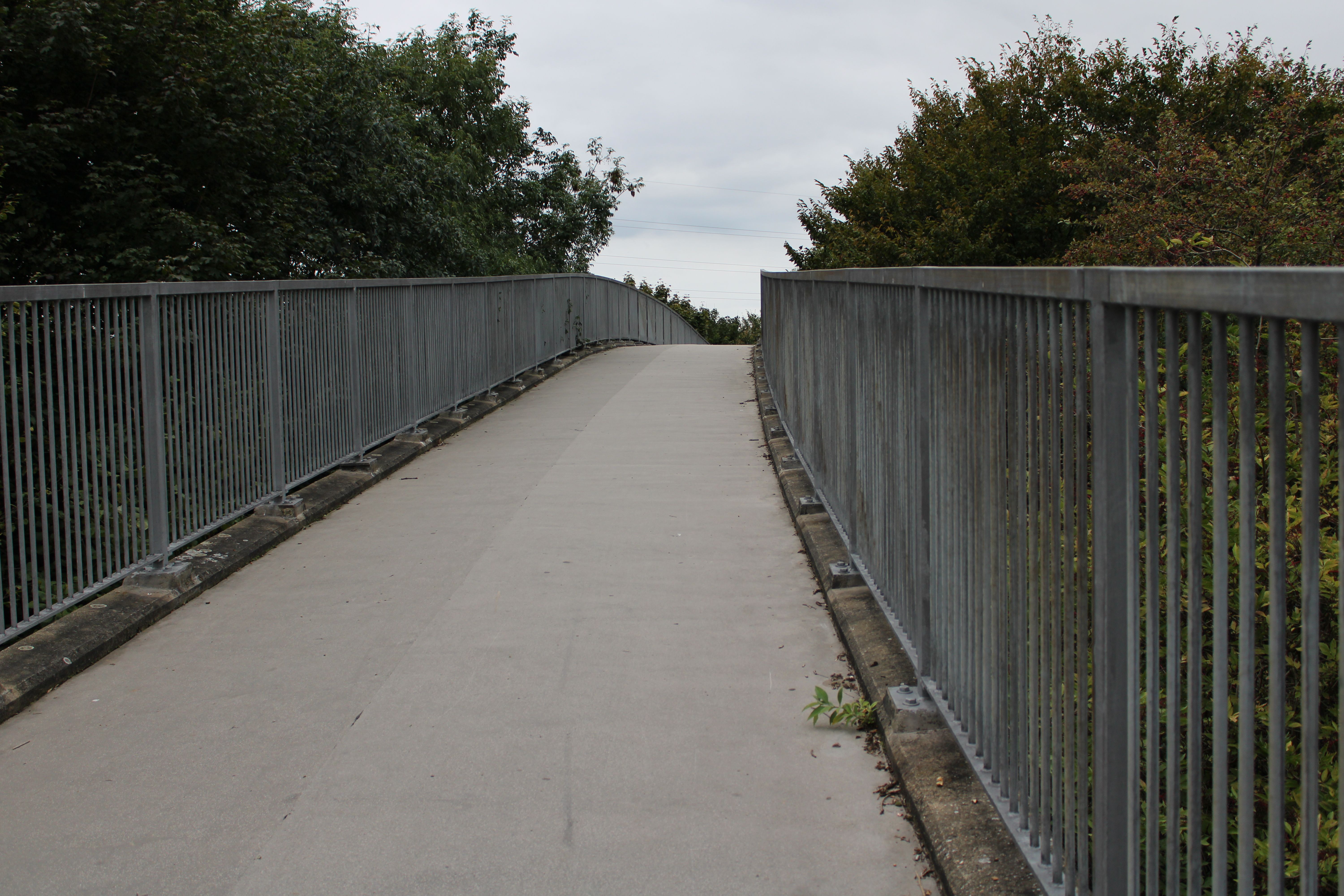 Tranquil pedestrian bridge surrounded by lush greenery, leading into the horizon.