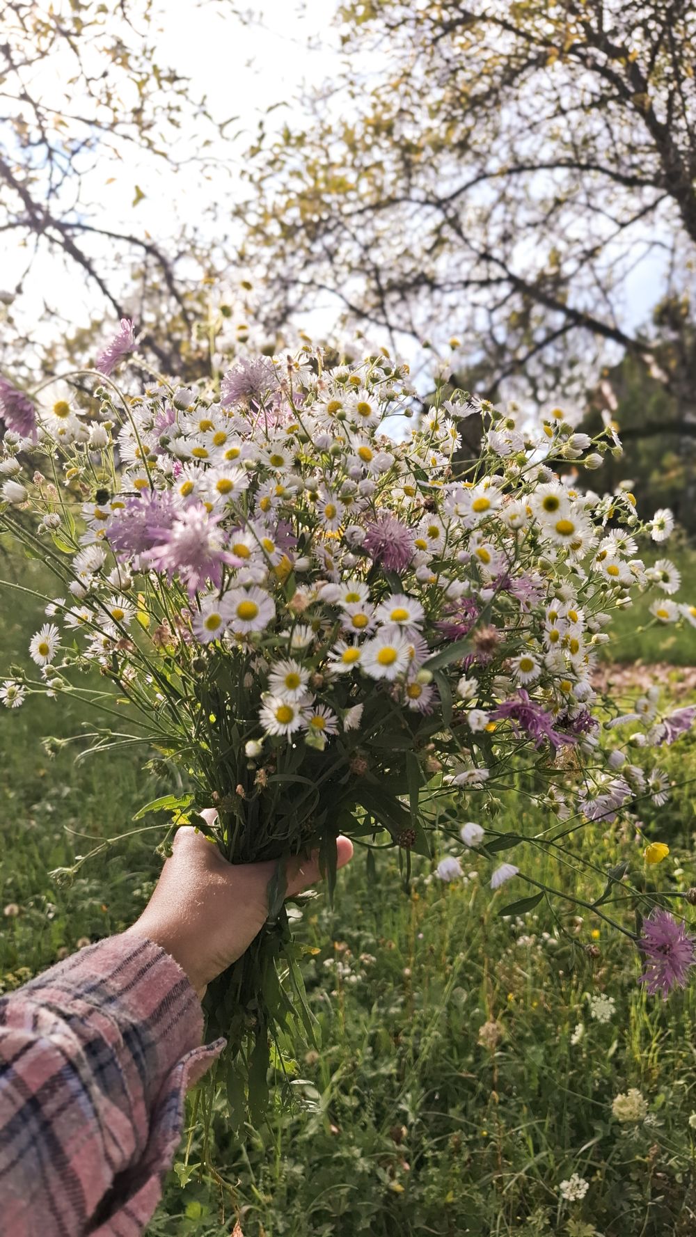 Composition florale Cérémonie Naturelle, univers bohème