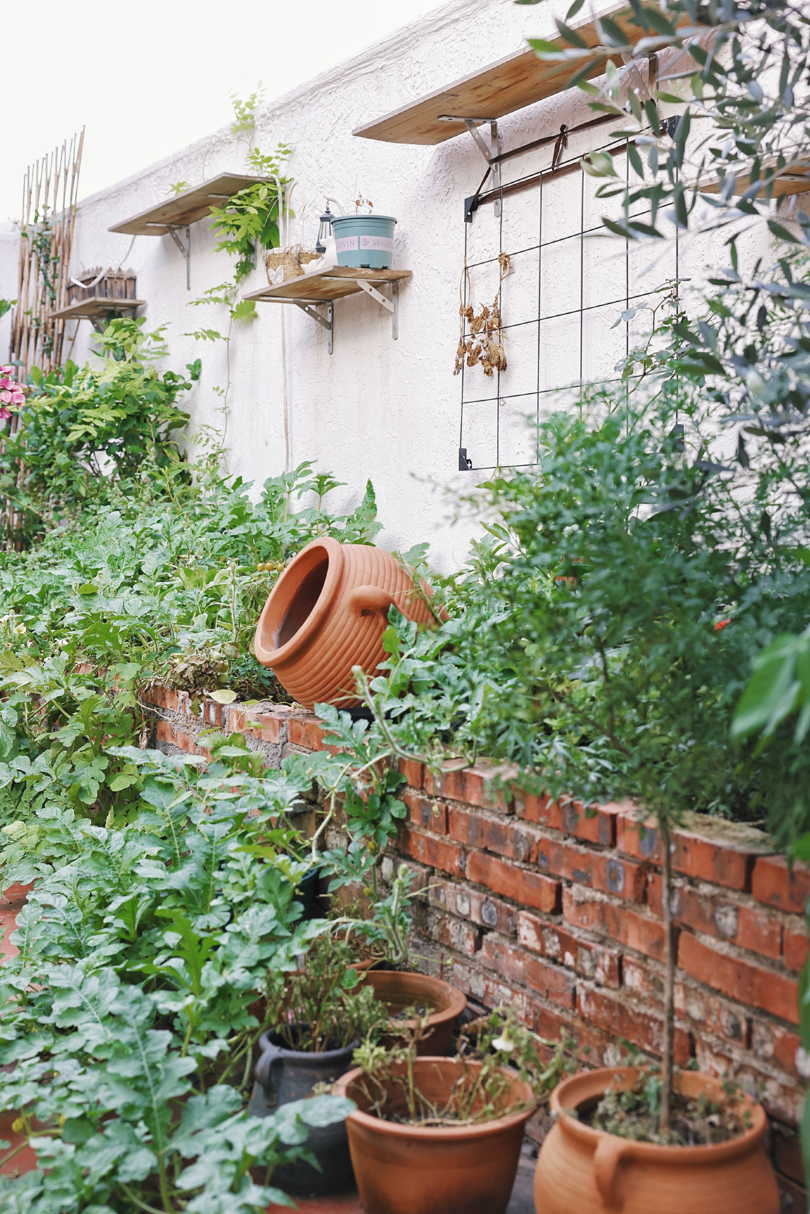 Créer un potager vertical pour petits espaces - illustration