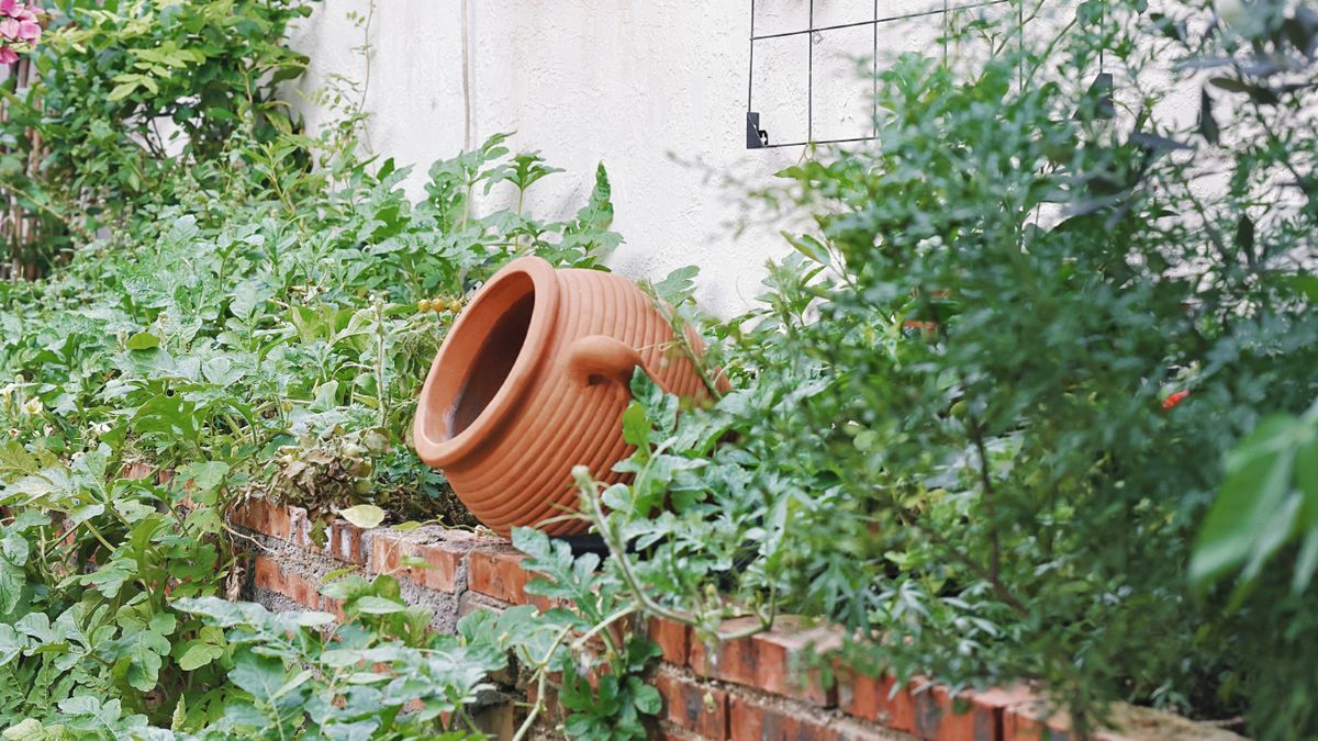 Créer un potager vertical pour petits espaces - illustration