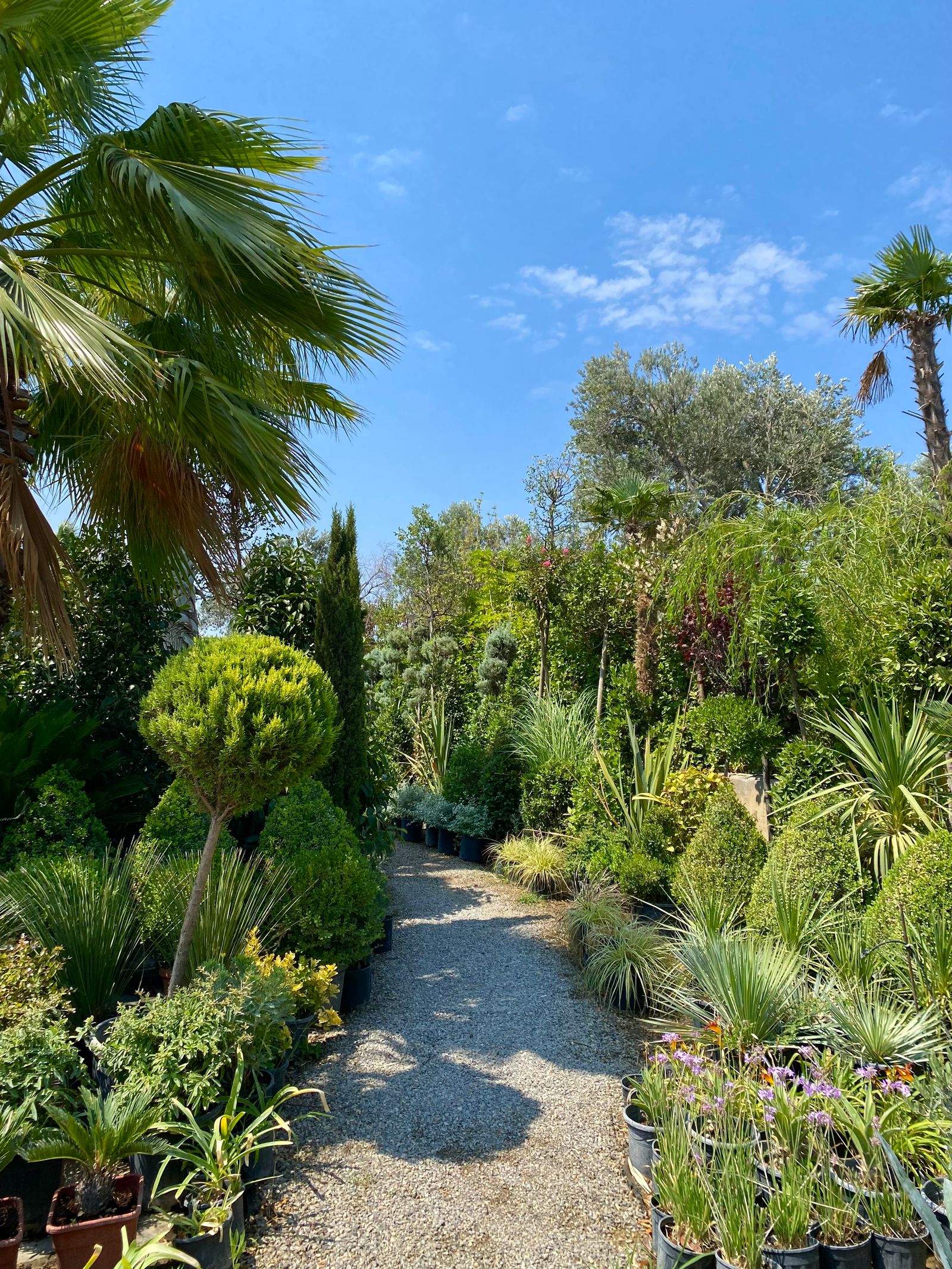 Jardin réalisé par une entreprise du paysage