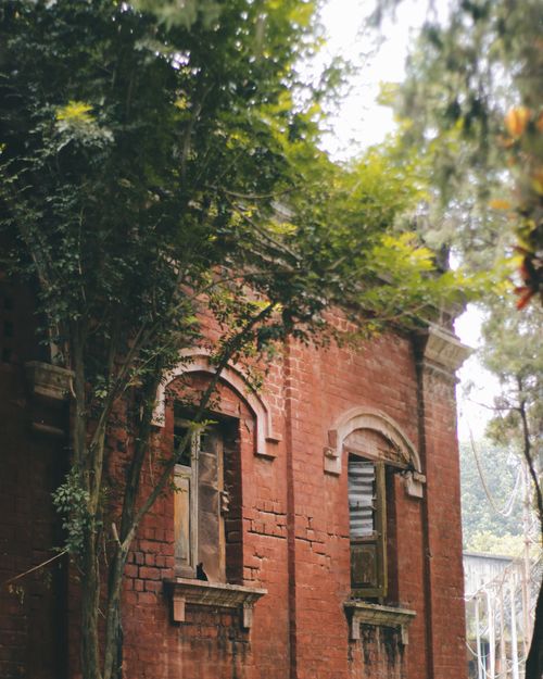 Free Old red brick building surrounded by lush green trees, creating an evocative rustic scene. Stock Photo