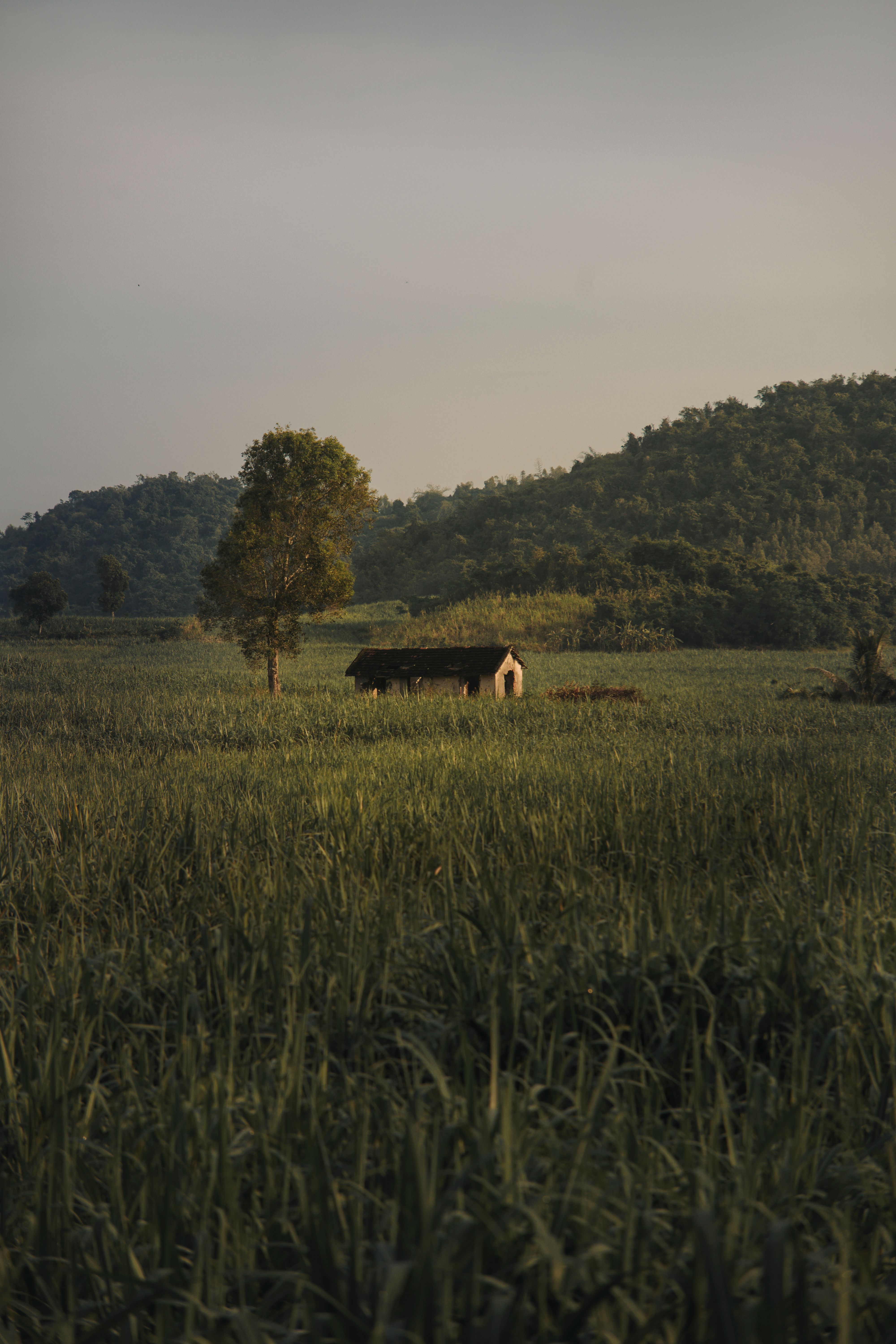 Rustic Cabin in Serene Countryside Landscape · Free Stock Photo
