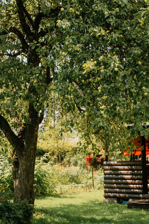 Free Cozy cabin nestled under a lush tree, surrounded by vibrant green foliage and garden flowers. Stock Photo