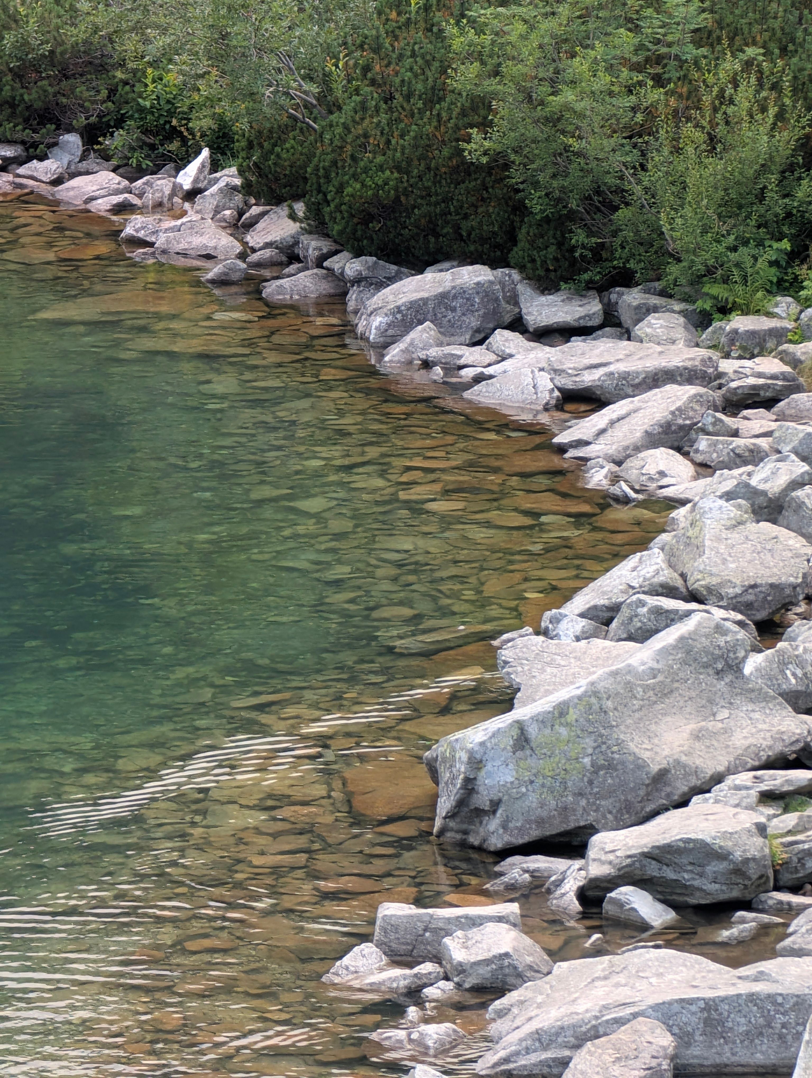 Tranquil rocky lakeside with clear water reflecting greenery, perfect for nature and travel themes.
