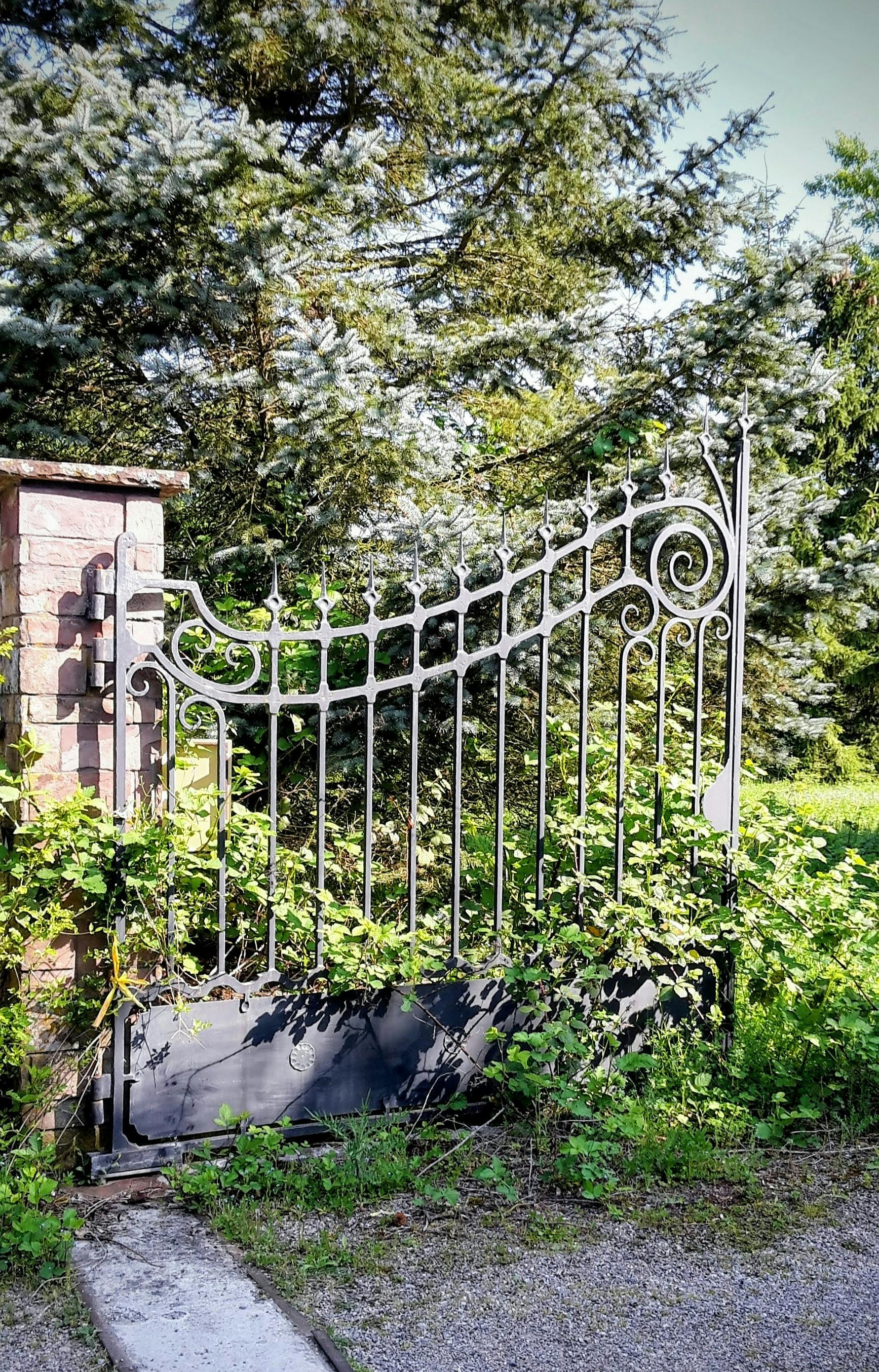 Decorative iron gates