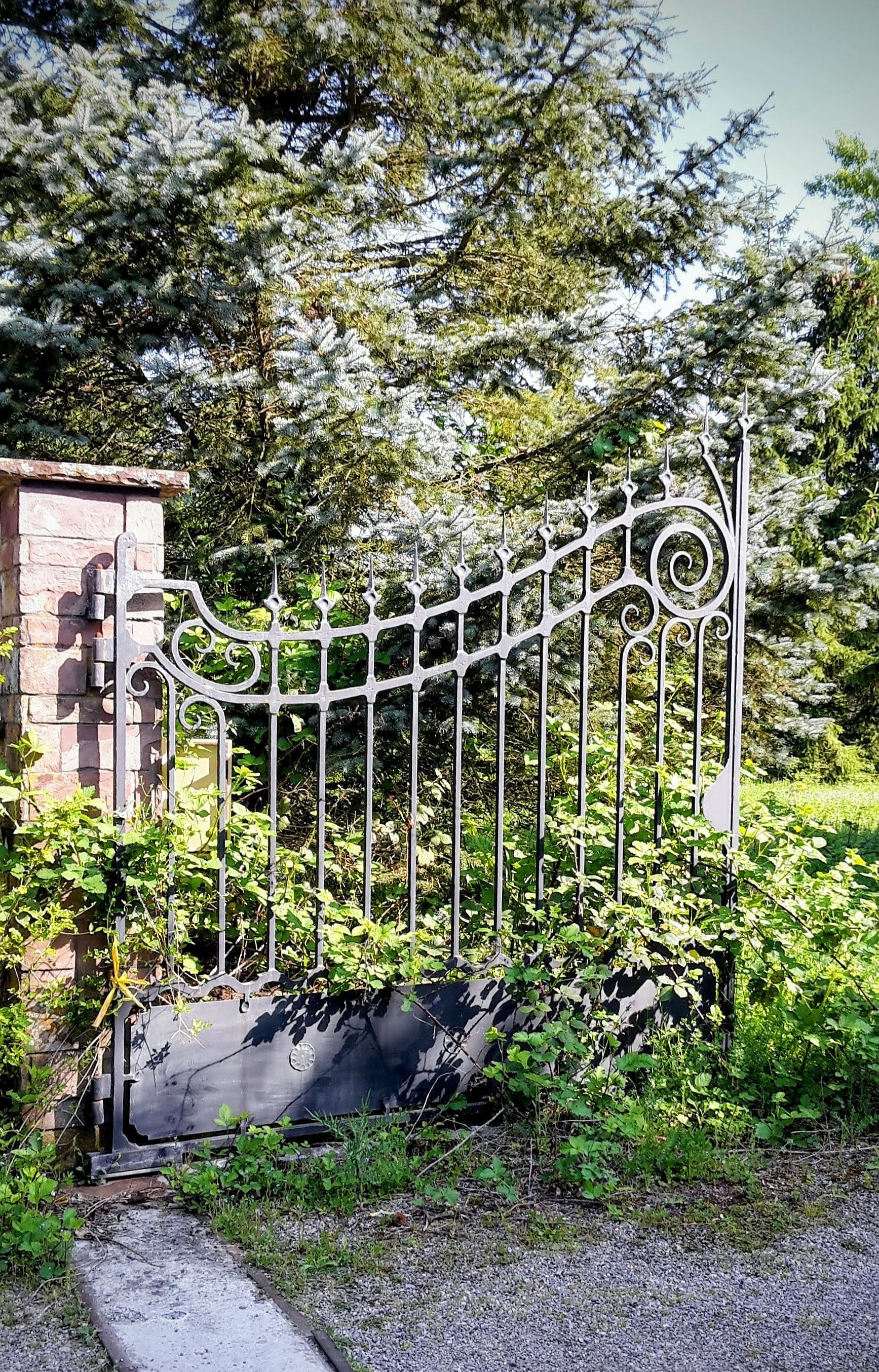 Elegant Wrought Iron Gate in Lush Garden · Free Stock Photo