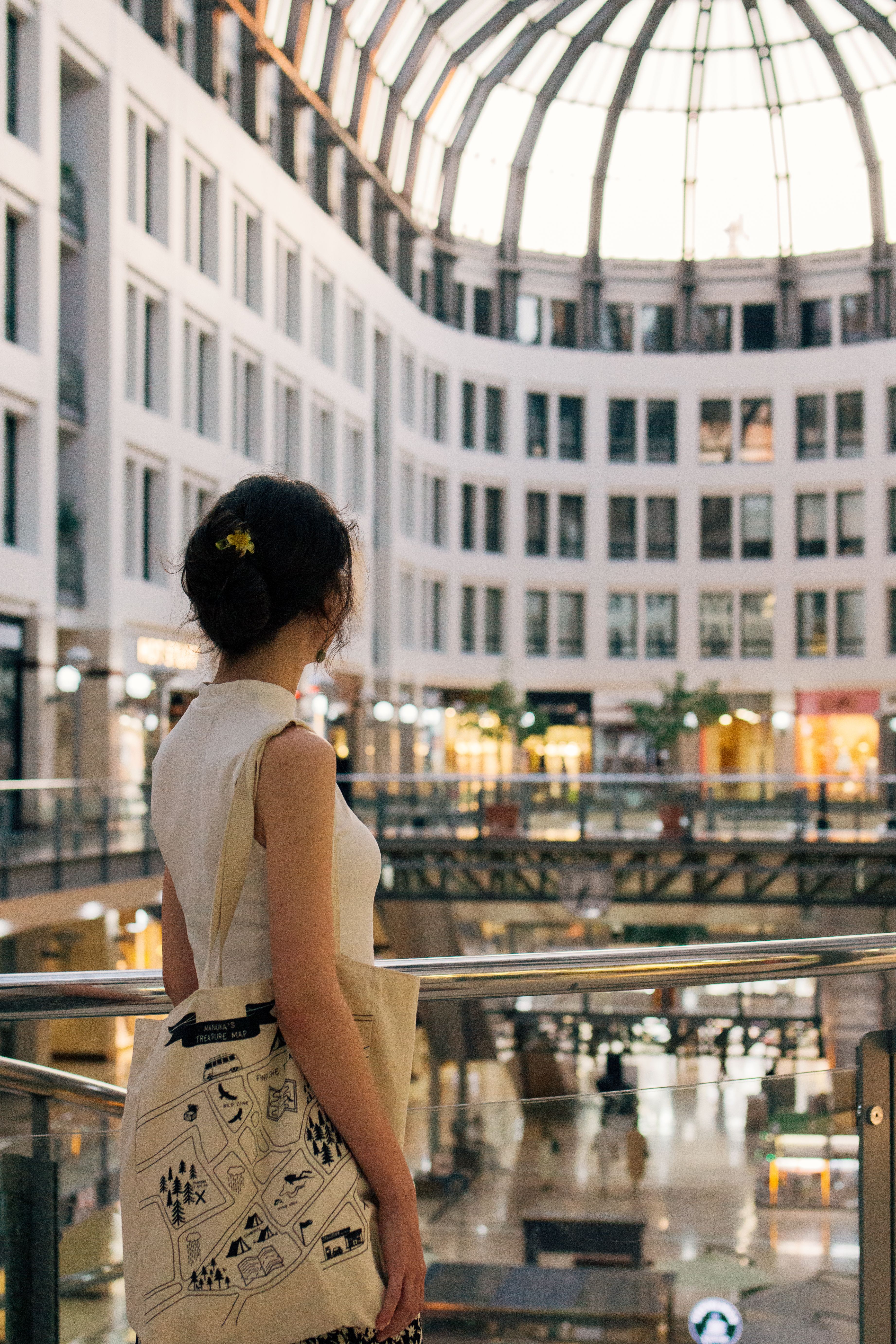 Afternoon Adventures: Exploring the Surroundings