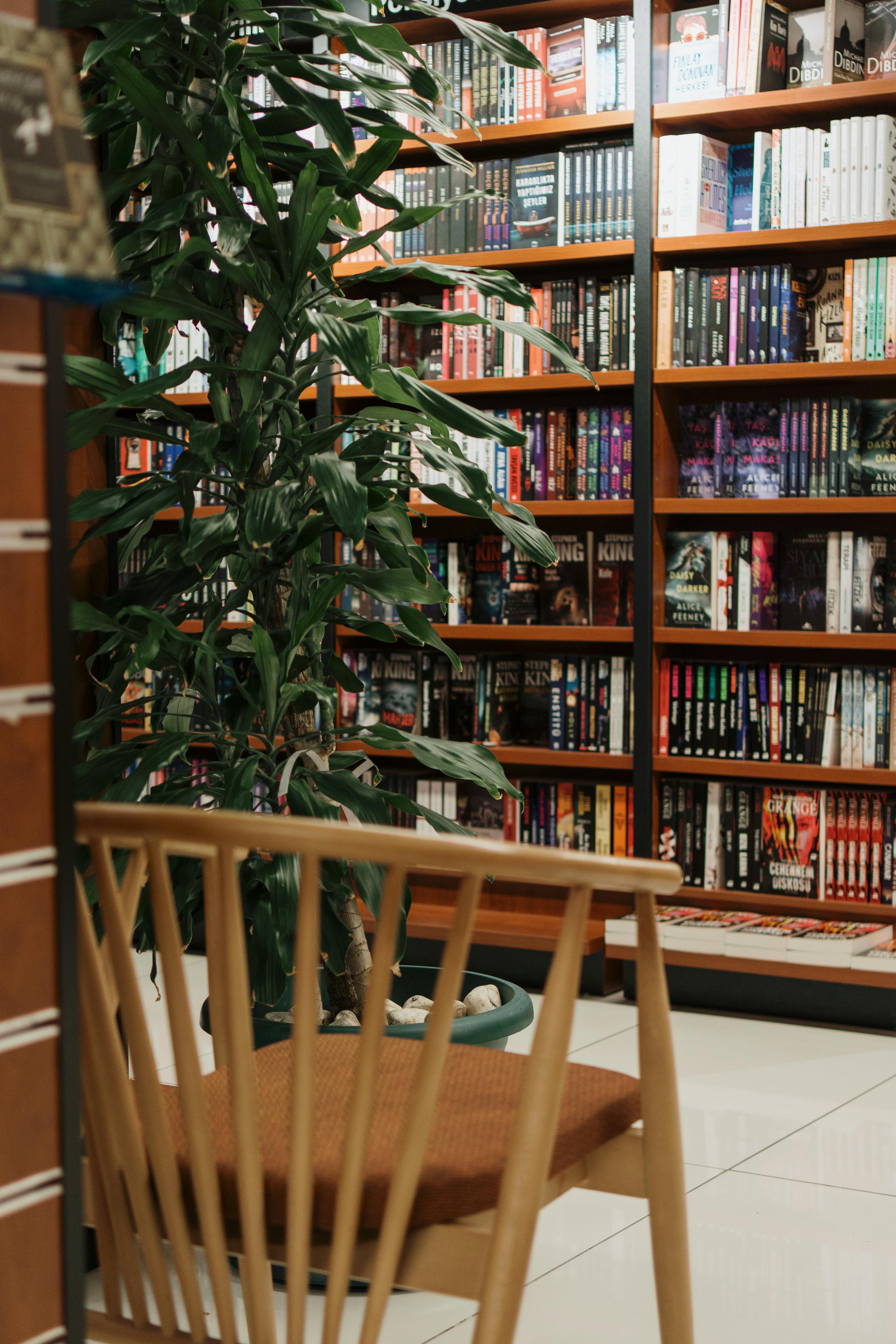 Gratuit Interior primitor de librărie, cu rafturi pline de cărți și un scaun confortabil pentru citit. Fotografie de stoc