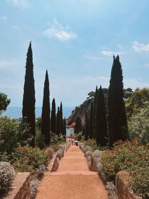 Free Picturesque path lined with cypress trees leading to the ocean, ideal for travel inspiration. Stock Photo