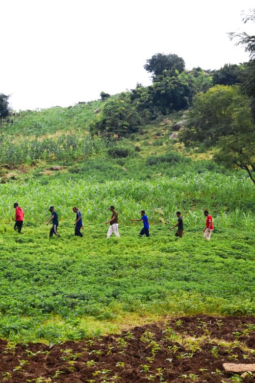 Free A group of adults hiking through a verdant landscape in Abuja, Nigeria, showcasing vibrant greenery. Stock Photo