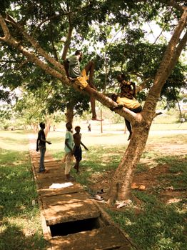 Group of children enjoying playtime climbing trees in a park in Douala, Cameroon.