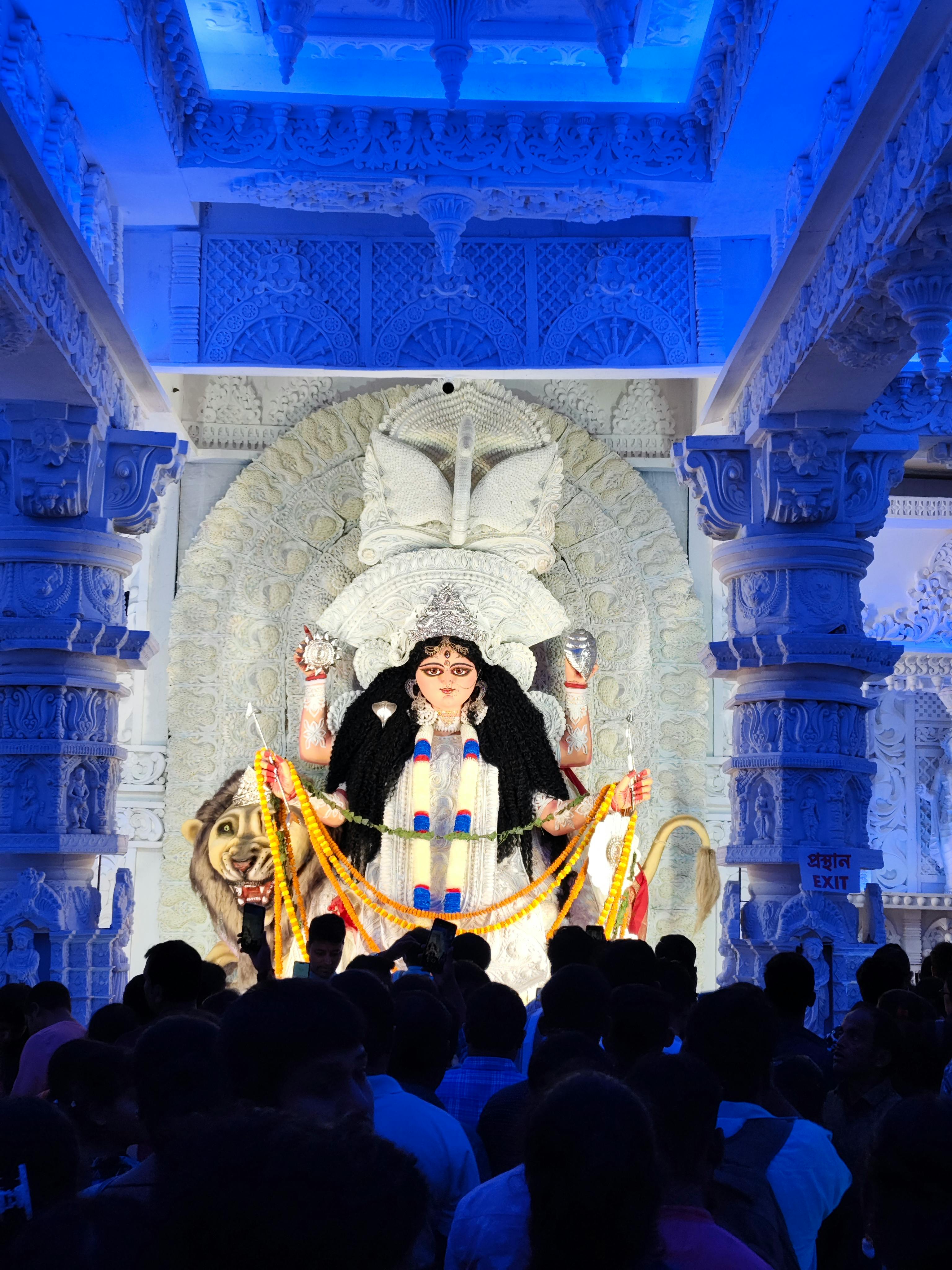 Theme for Bowbazar Kalabazar Sarbojanin Jagadhatri Puja