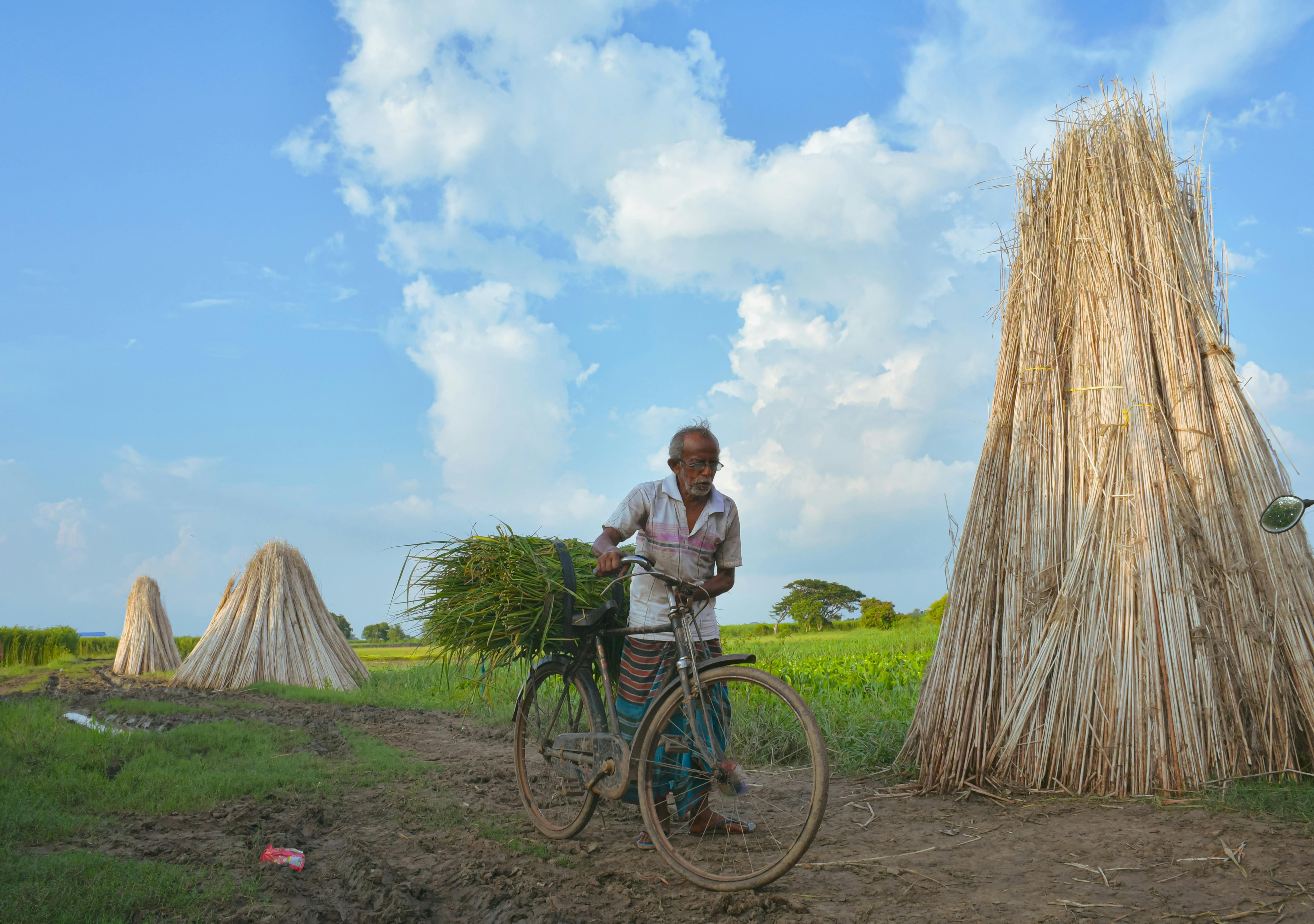 Many farmers utilize life insurance for farm financing — Photo by Subham Mitra on Pexels