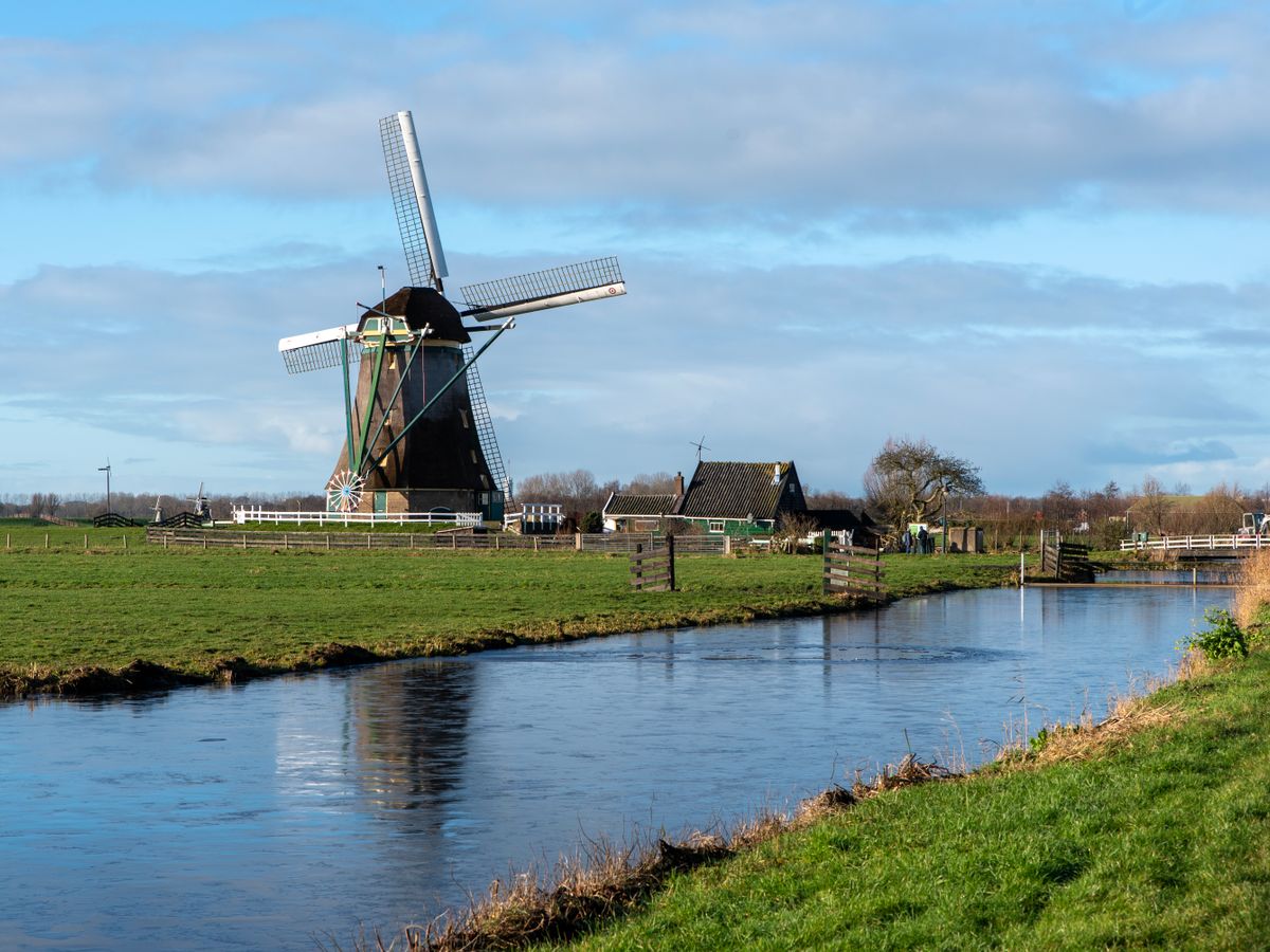 21 Day Ayurvedic Panchakarma Wellness Retreat in the Netherlands 2