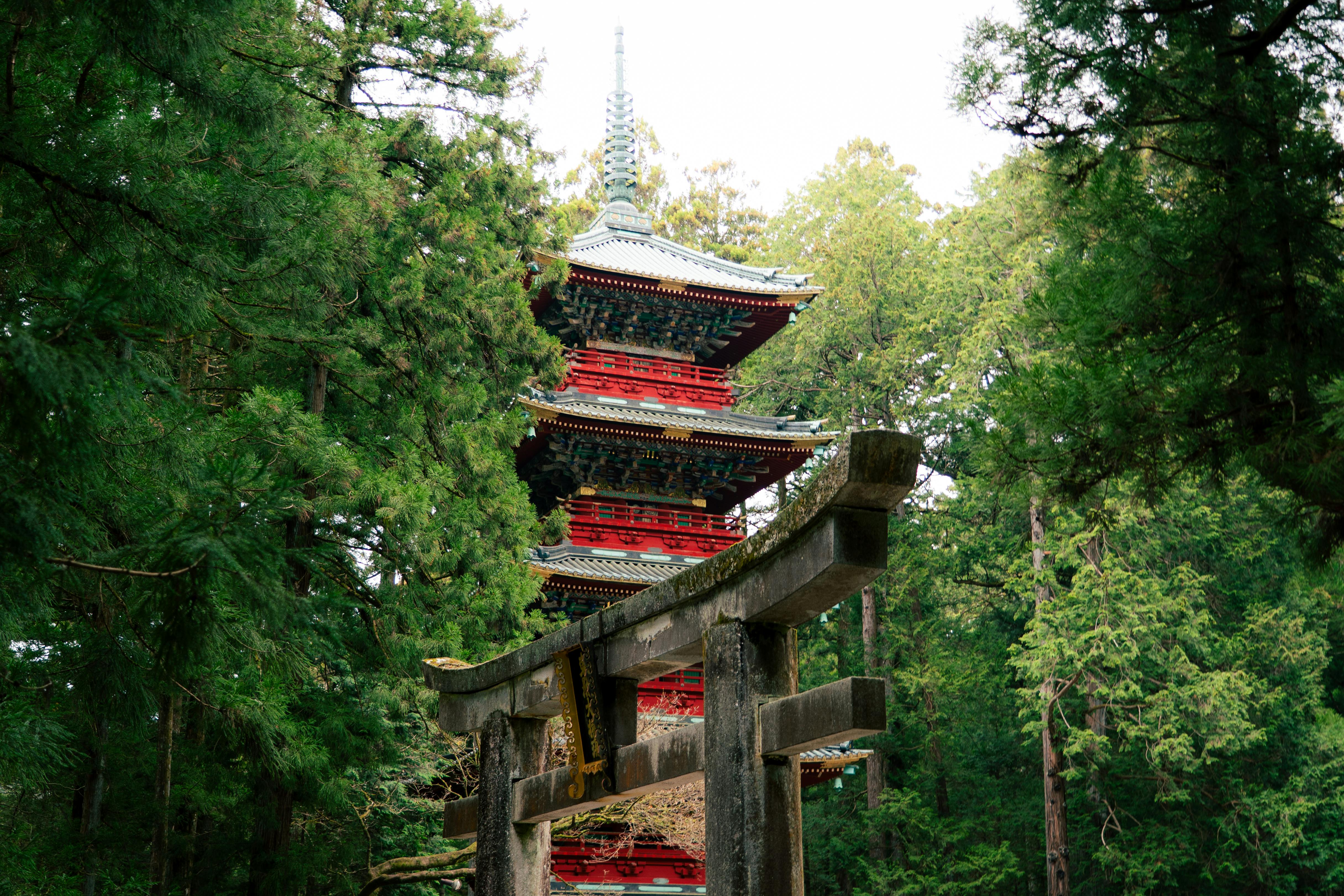 A traditional Japanese pagoda tower surrounded by lush forest in Nikko, Japan.
