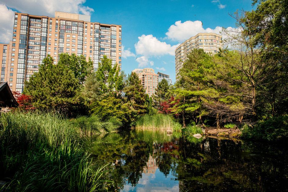 High Park