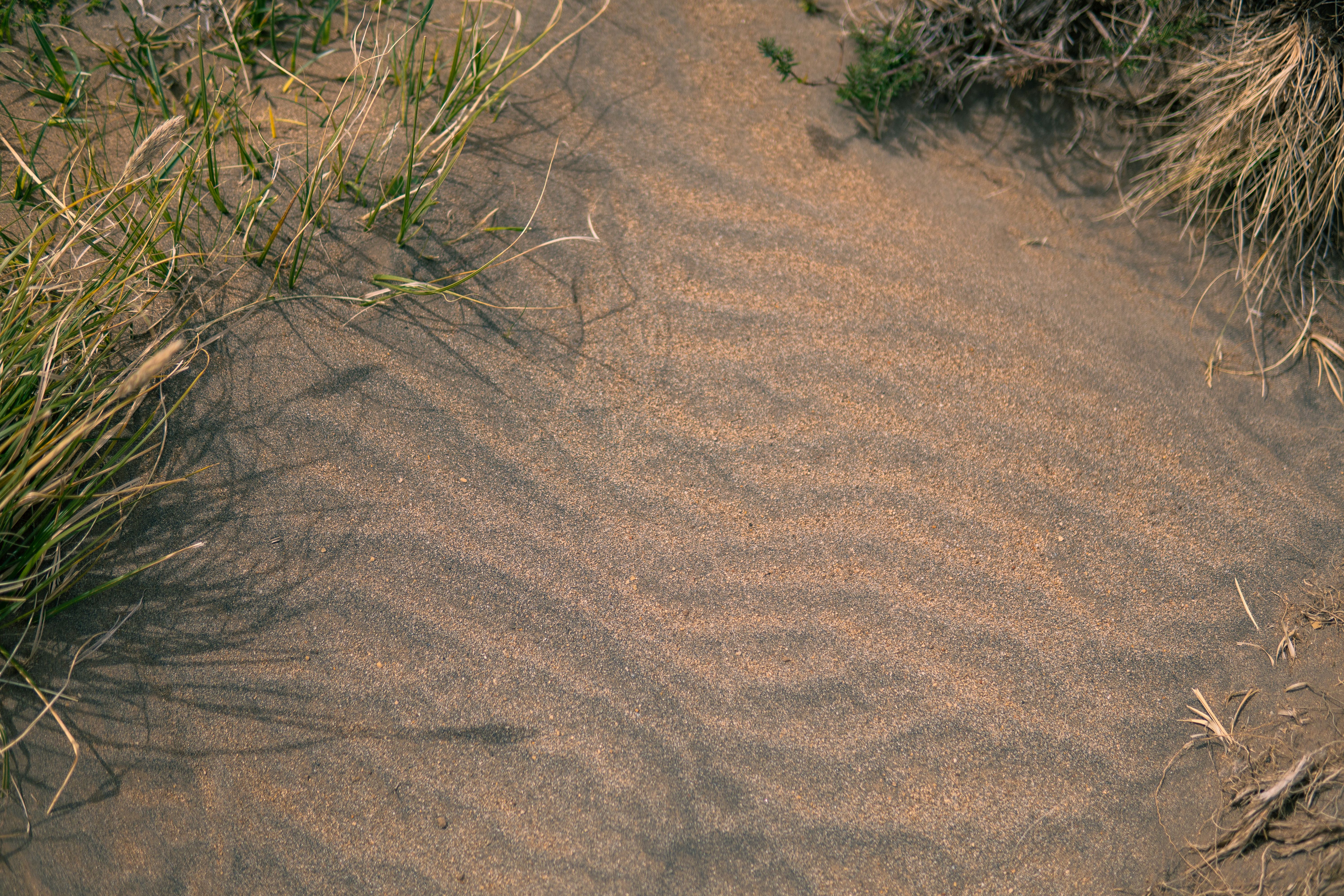 Sandy Landscape with Grass Patterns at El Bolsón · Free Stock Photo