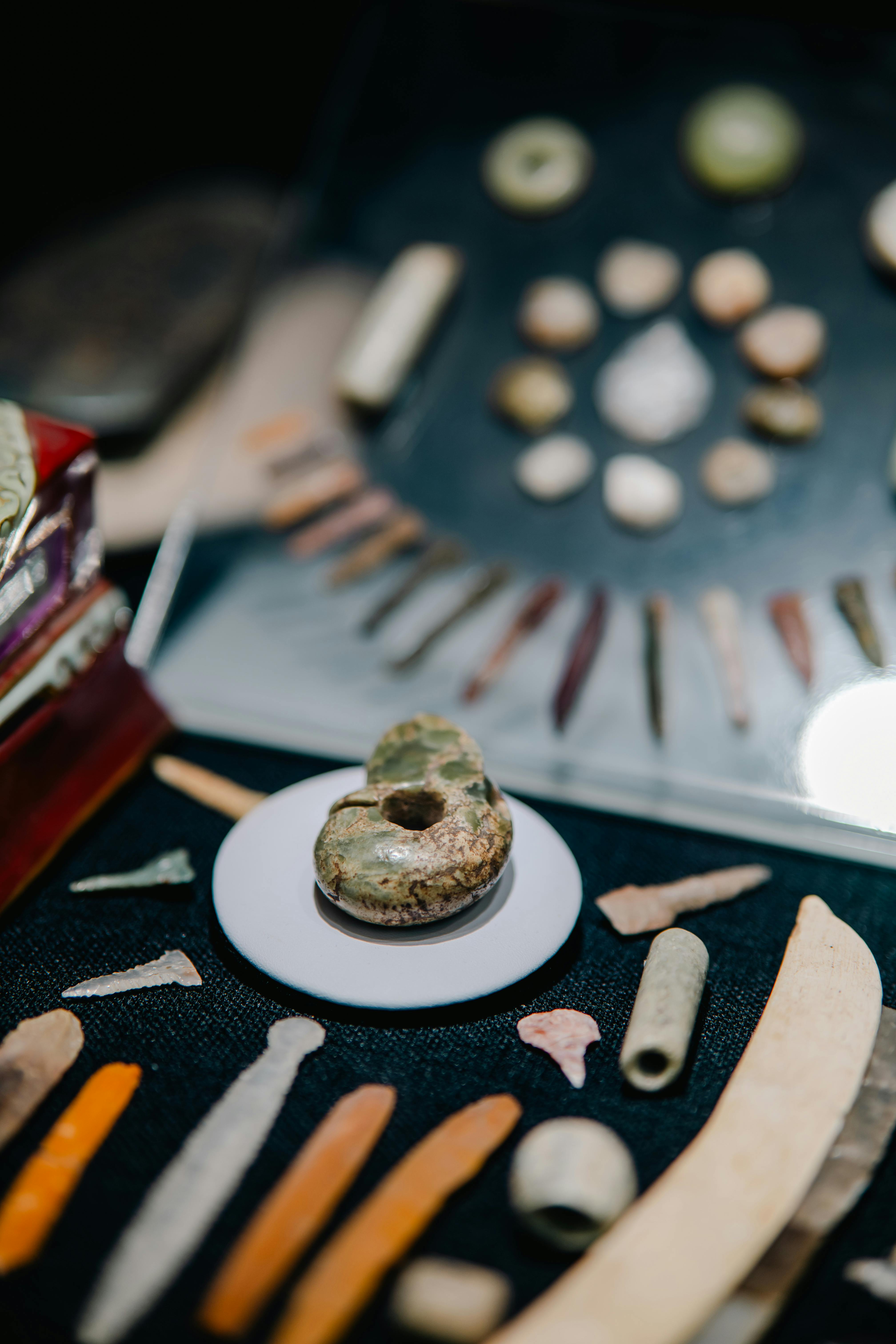 무료 실내에서 촬영한 도구와 석기 화석 등 다양한 고대 유물이 전시되어 있습니다. 스톡 사진