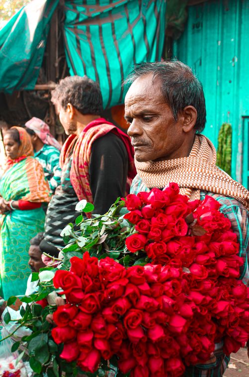 Free Street vendor holding vibrant red roses in colorful market setting. Captured during the day. Stock Photo