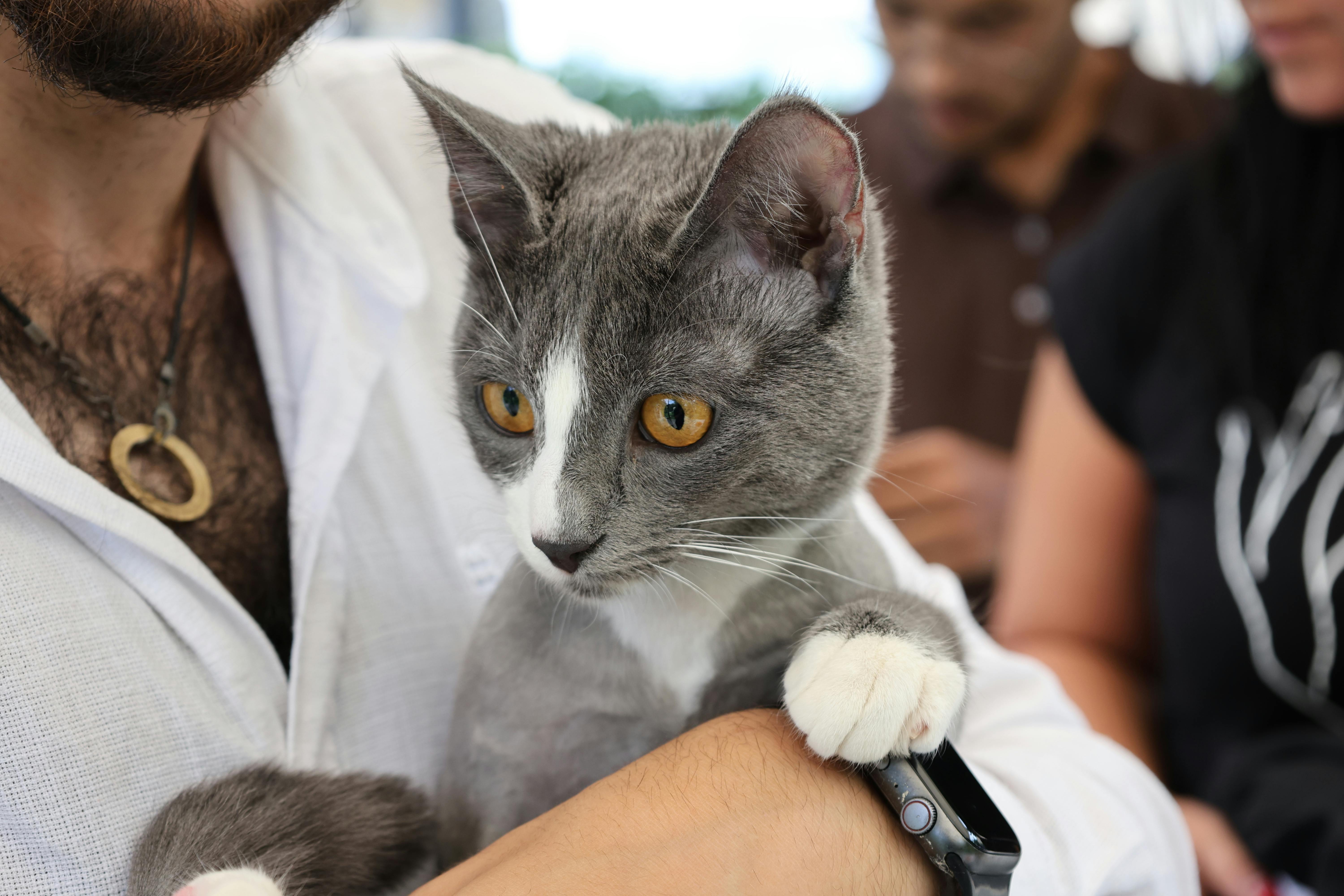 pet insurance pet health costs — Photo by Tahir Xəlfə on Pexels