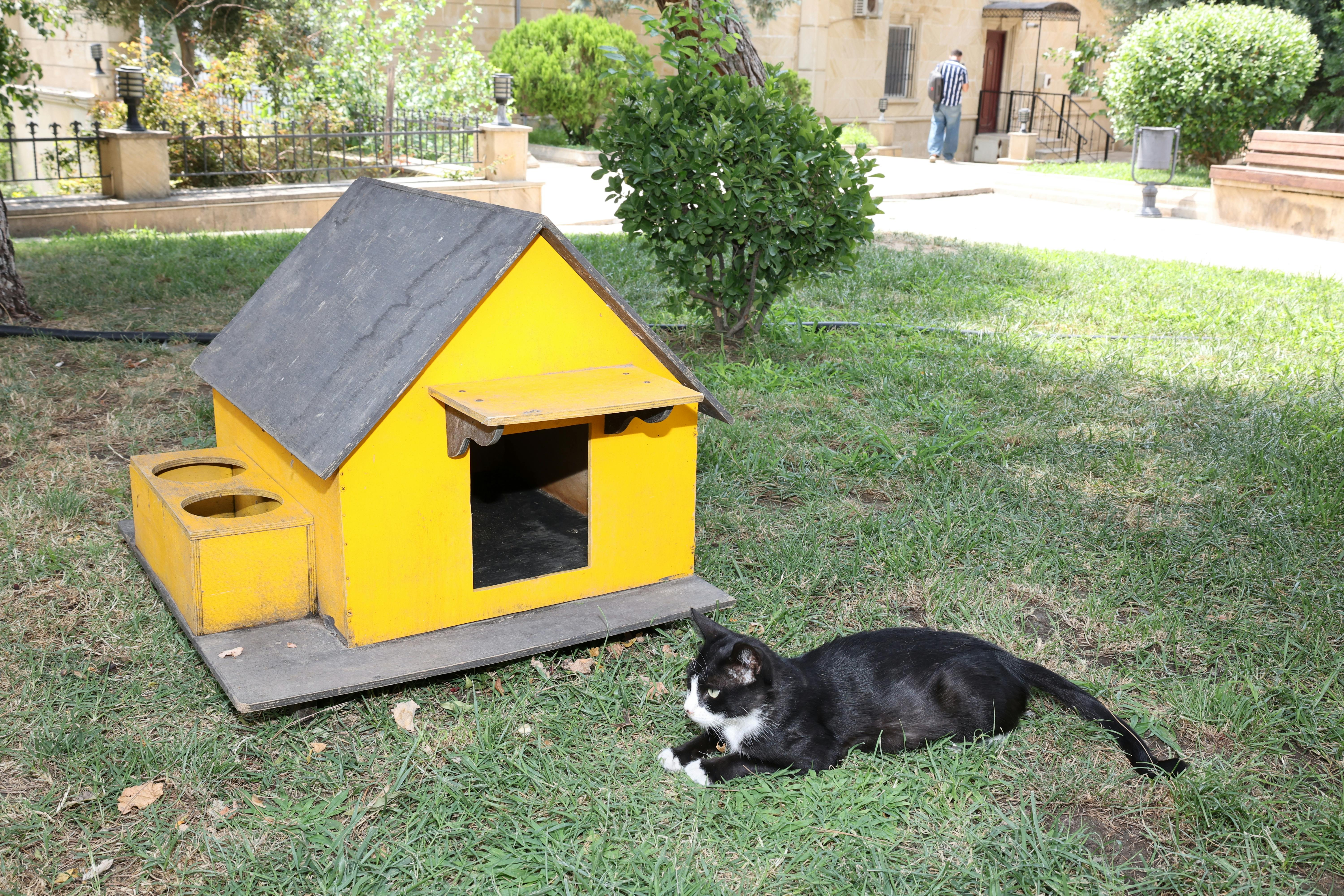 A black and white cat rests next to a bright yellow doghouse in a park setting.