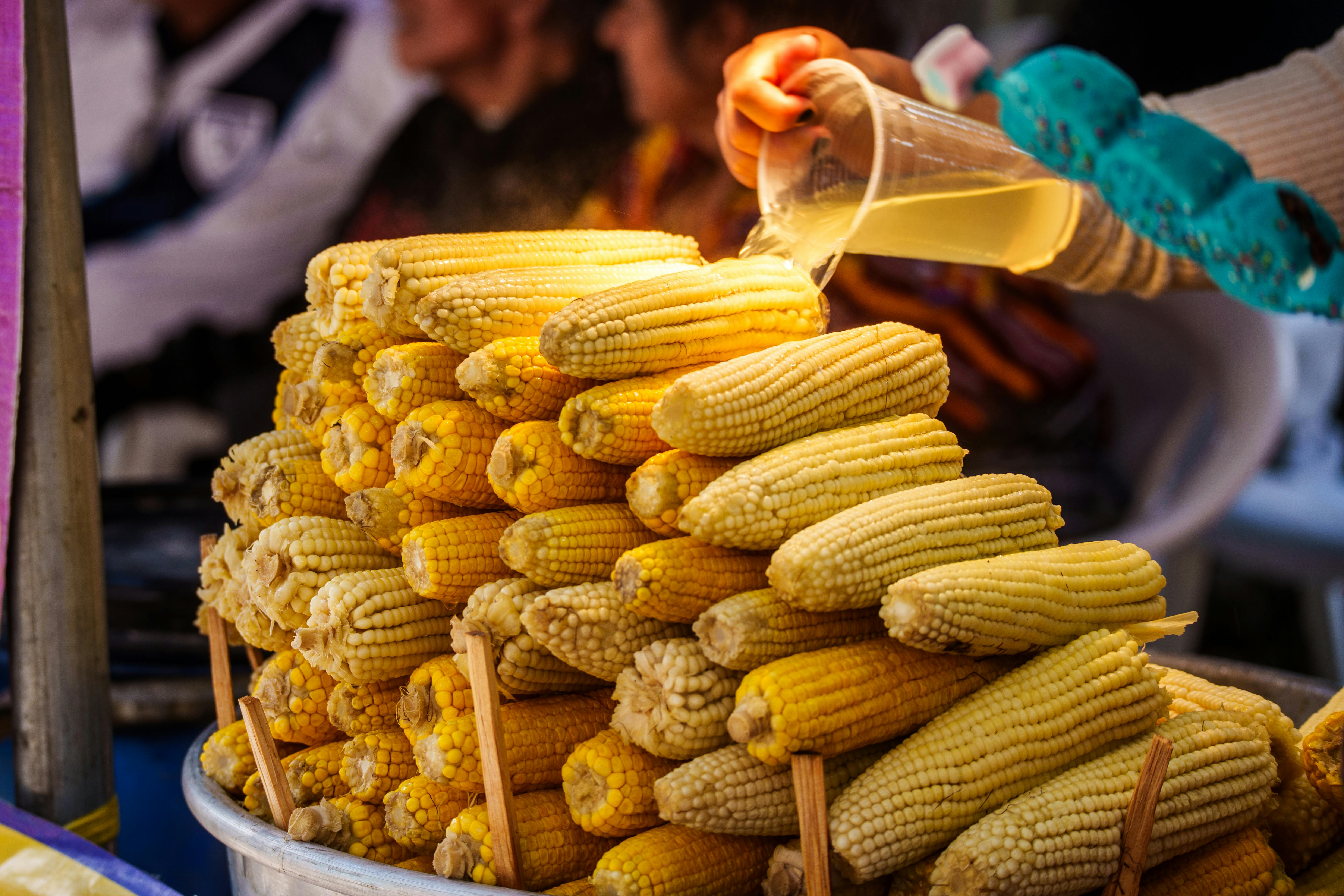 10 best specialty food festivals across the nation for 2026 — Photo by Diego Girón on Pexels