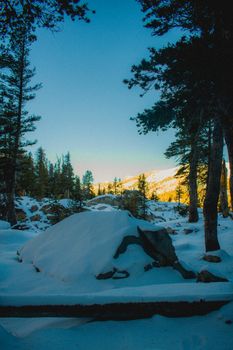 Capture the beauty of Sequoia National Park under a blanket of fresh snow, with tall trees and clear skies.