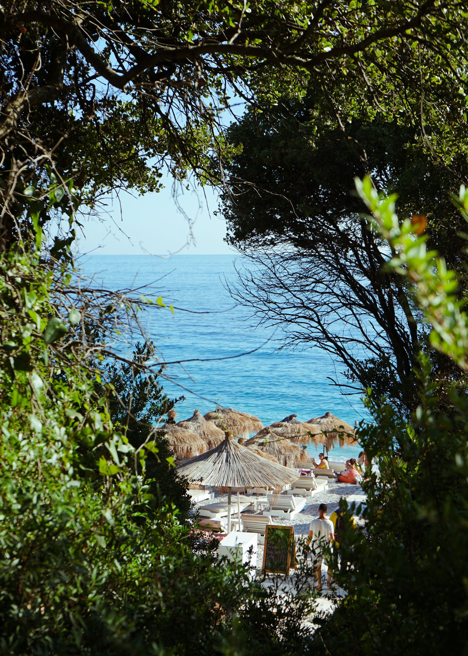 Beach framed by greenery in Dhërmi on the Albanian Riviera