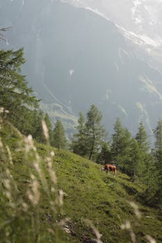 A peaceful mountain landscape featuring a cow grazing on lush greenery under clear skies.
