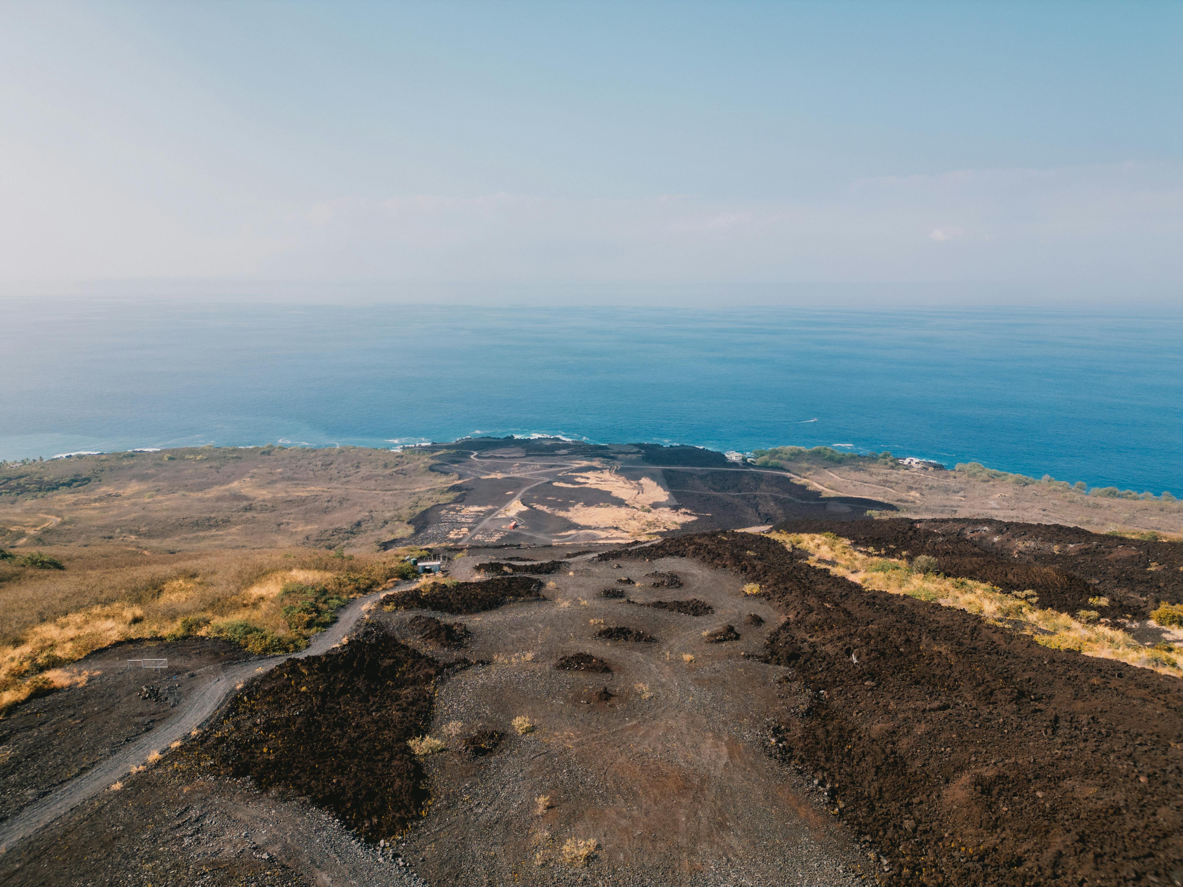 Hawaii Island Seed Bank helps build climate resilience — Photo by Vitaliy Haiduk on Pexels