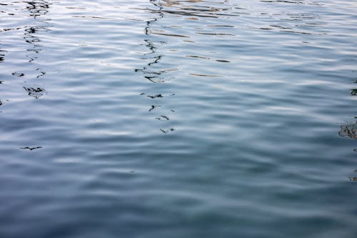 Free Photo of Body of Water Stock Photo