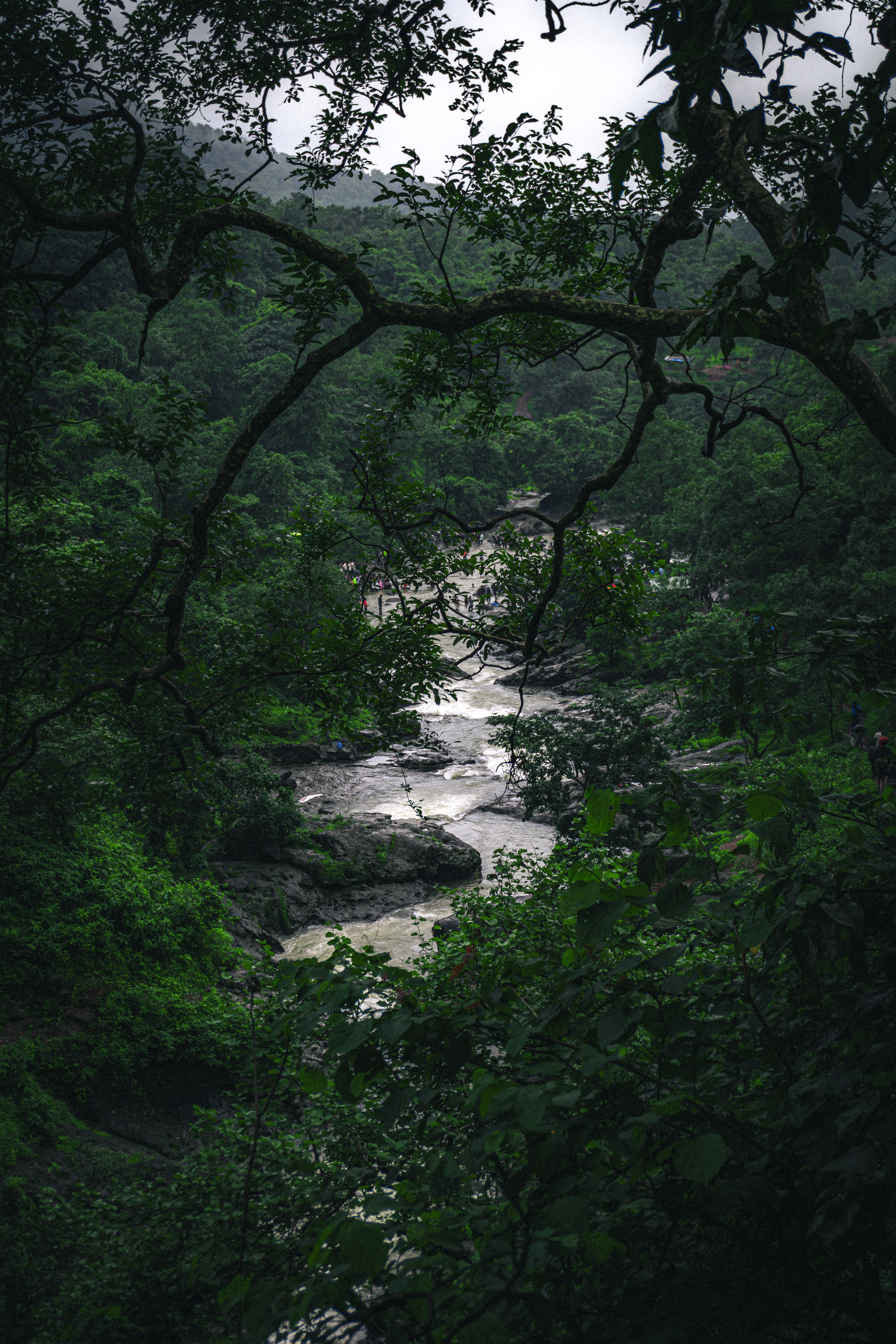 පාලම සහ සහෝදරයෝ