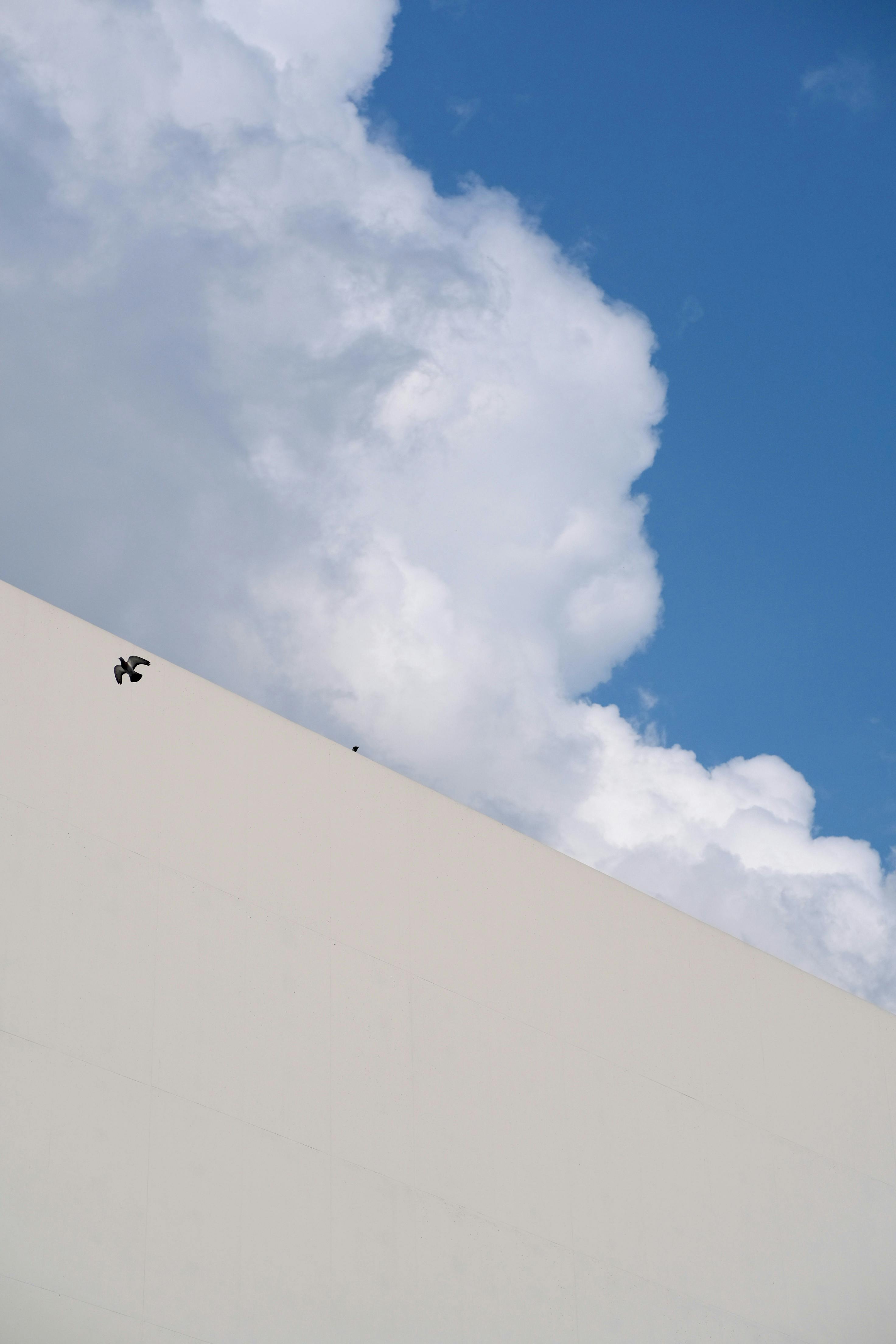 Gratuit Un oiseau vole au-dessus d'une structure architecturale moderne contre un ciel bleu vif avec des nuages. Photos