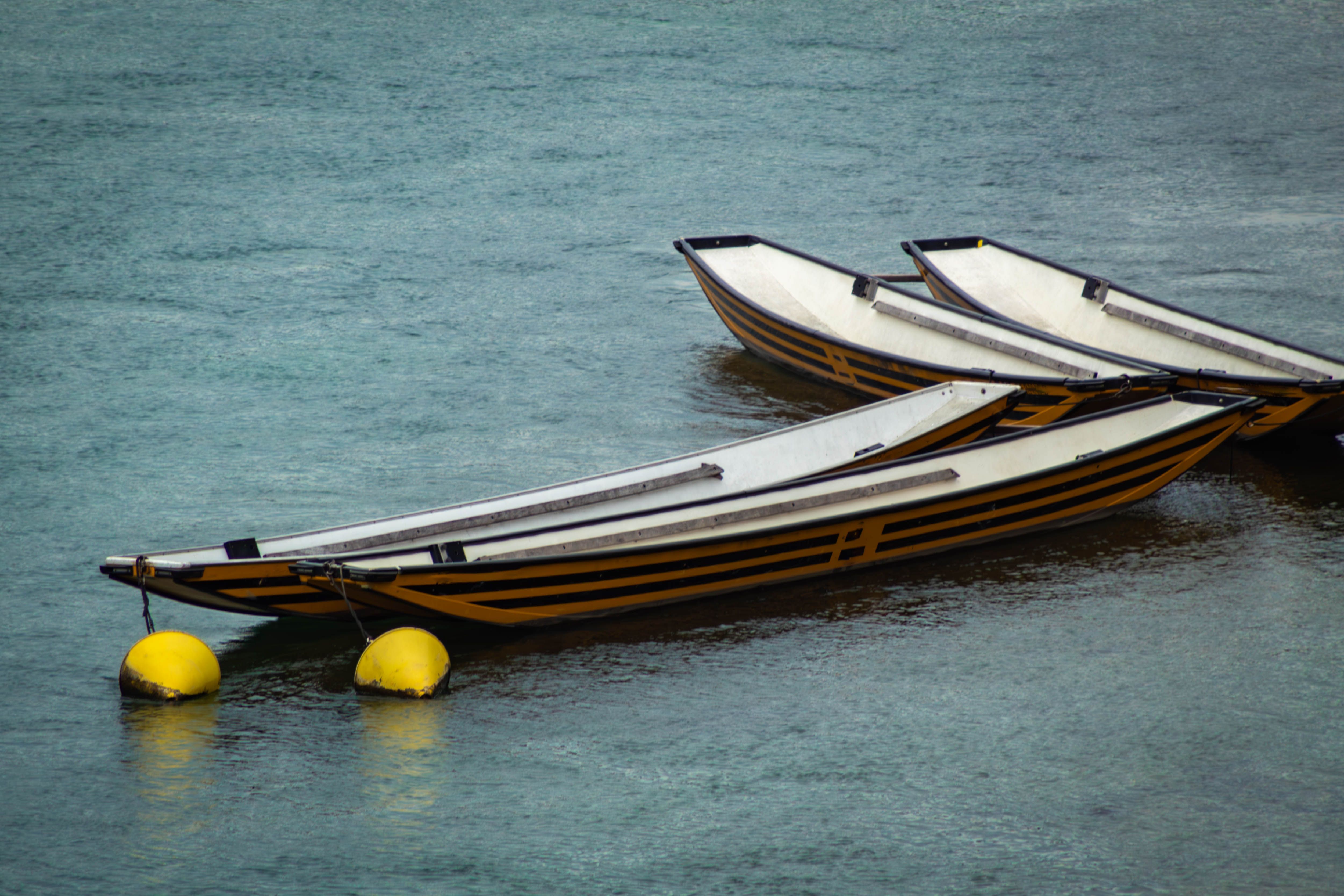 Colorful Rowboats Floating on Calm Water · Free Stock Photo