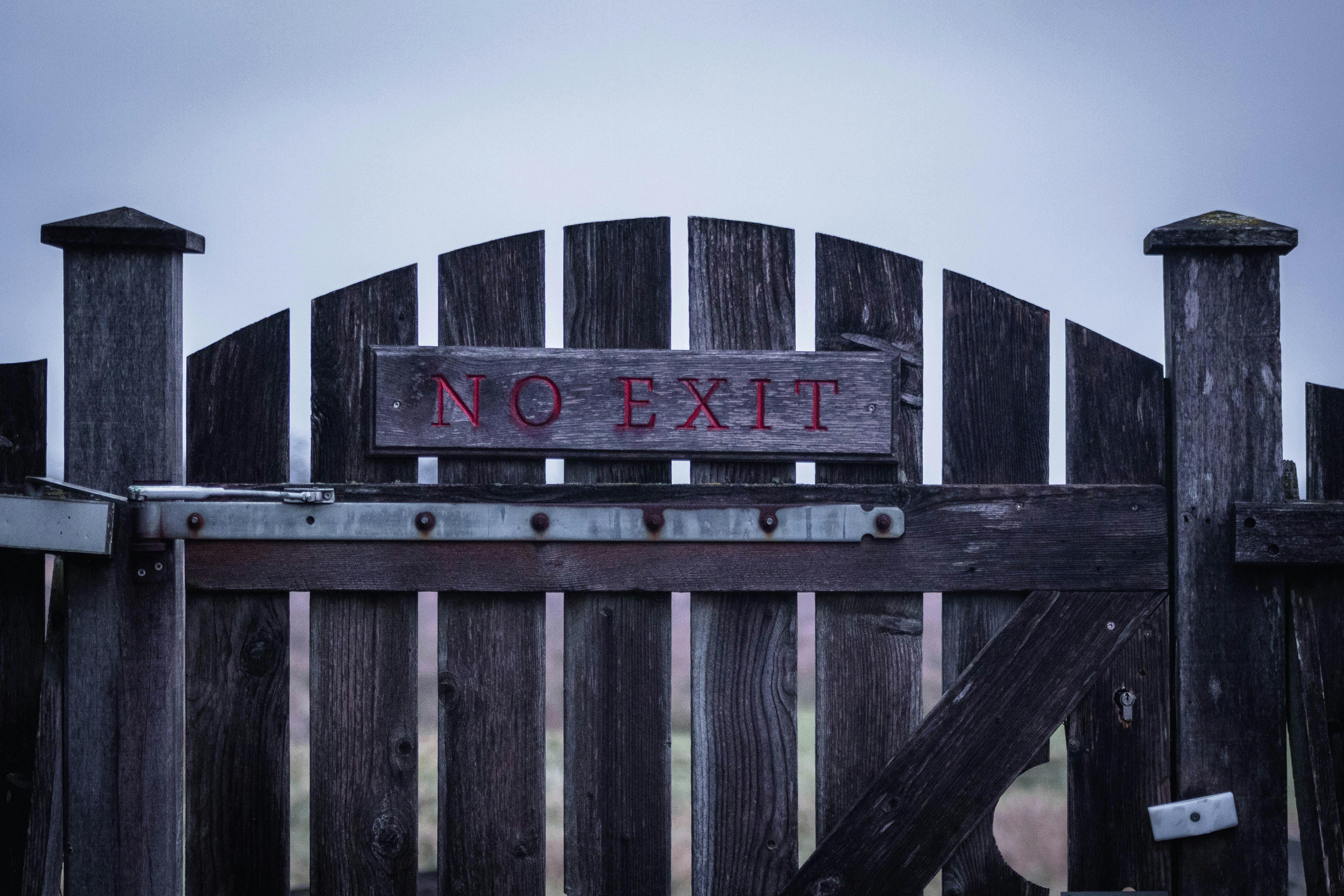 schools closed today