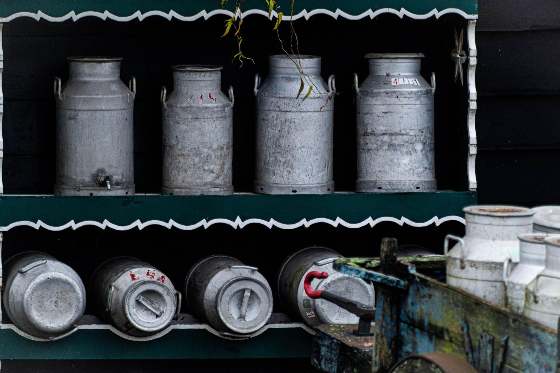 Rustic display of vintage metal milk churns on a wooden shelf.