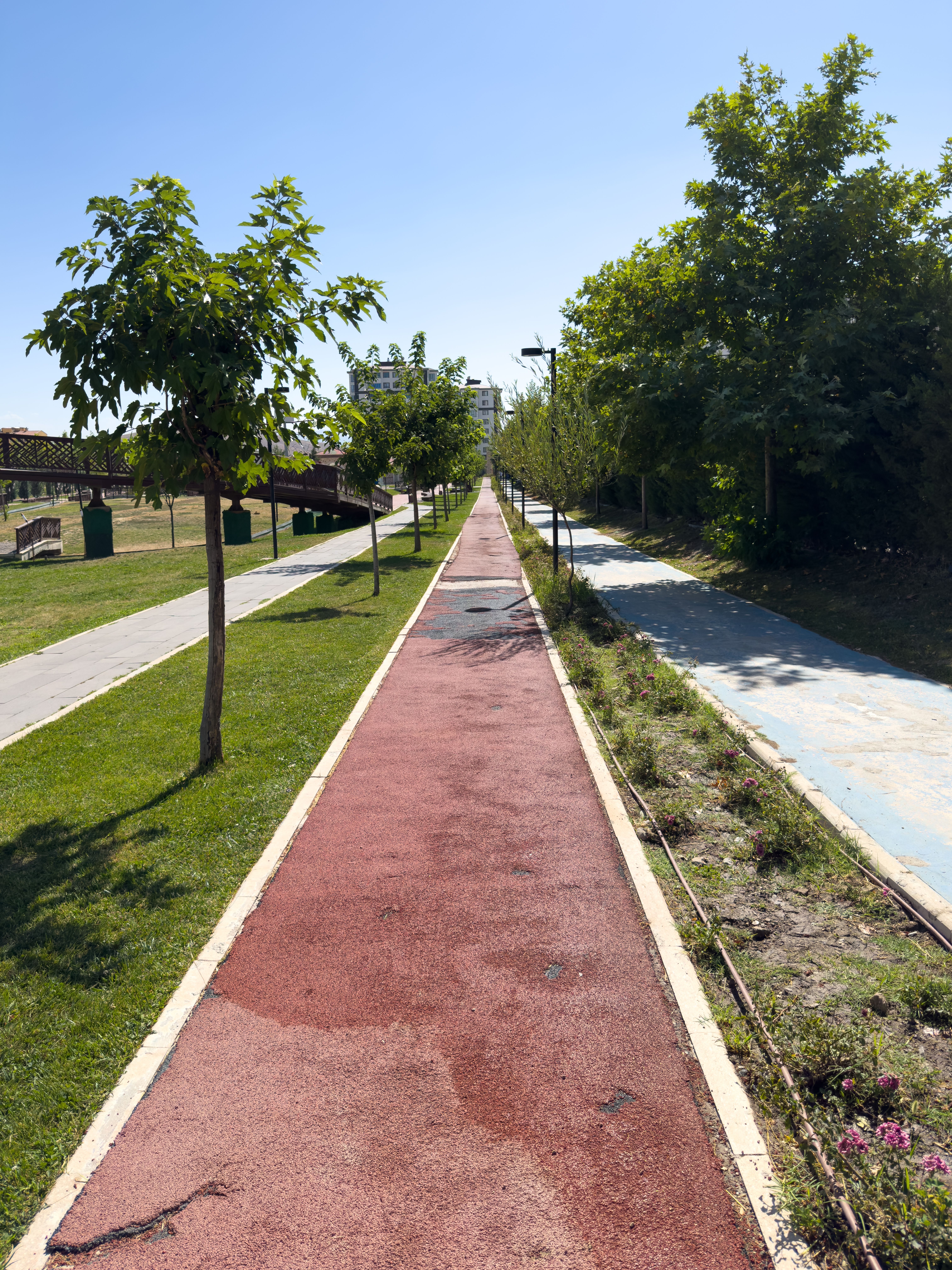 Free A vibrant park scene in Elâzığ, Türkiye featuring pathways, lush trees, and clear blue sky. Stock Photo