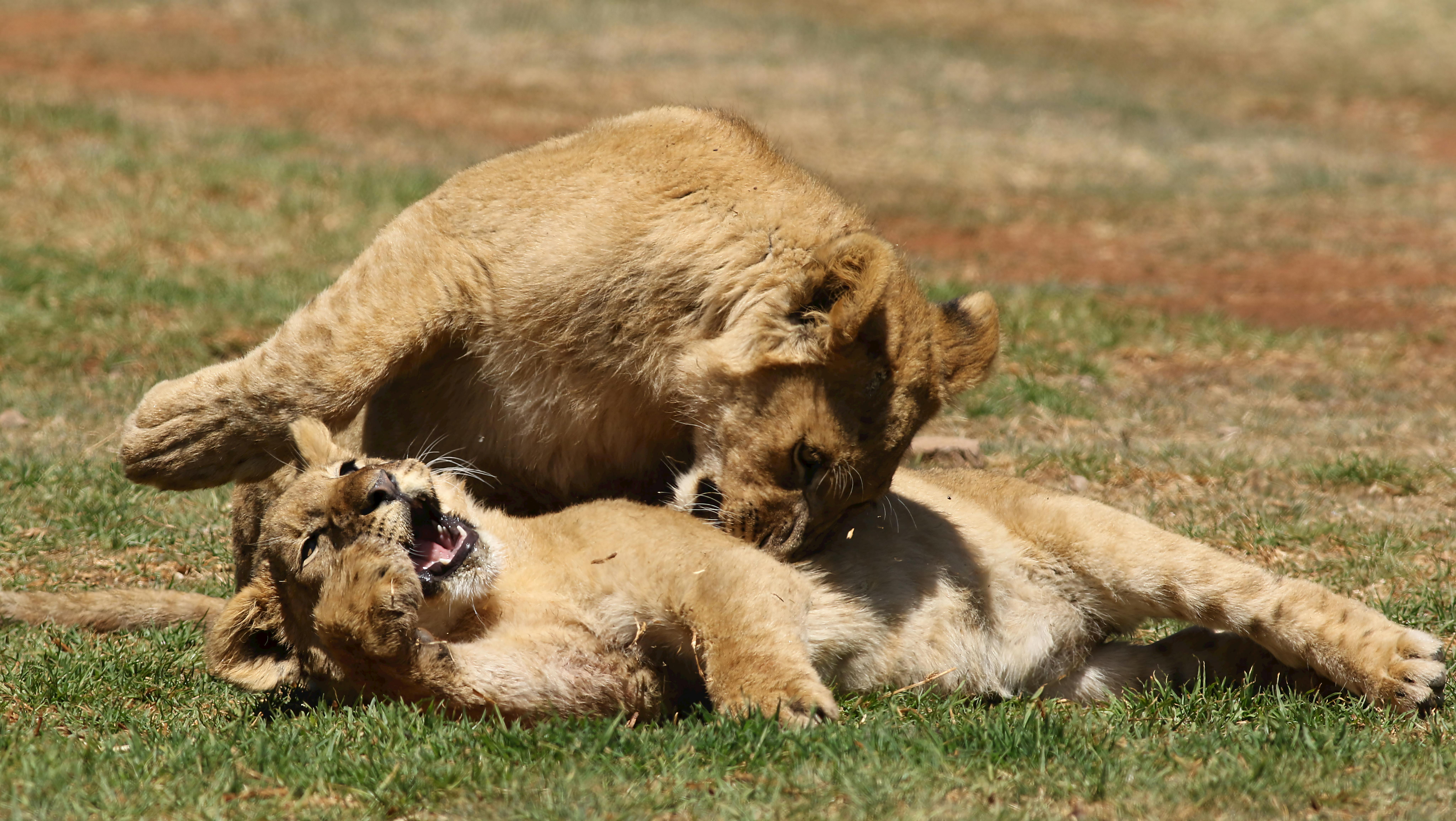 OUR CITY NEWS: How the Apartheid Museum is confronting modern ignorance