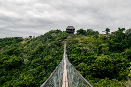 Kakum canopy walk — Ghana