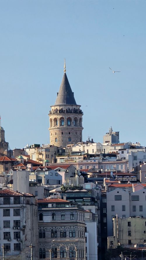 Free Captivating view of Galata Tower amidst Istanbul's historic architecture under clear blue skies. Stock Photo