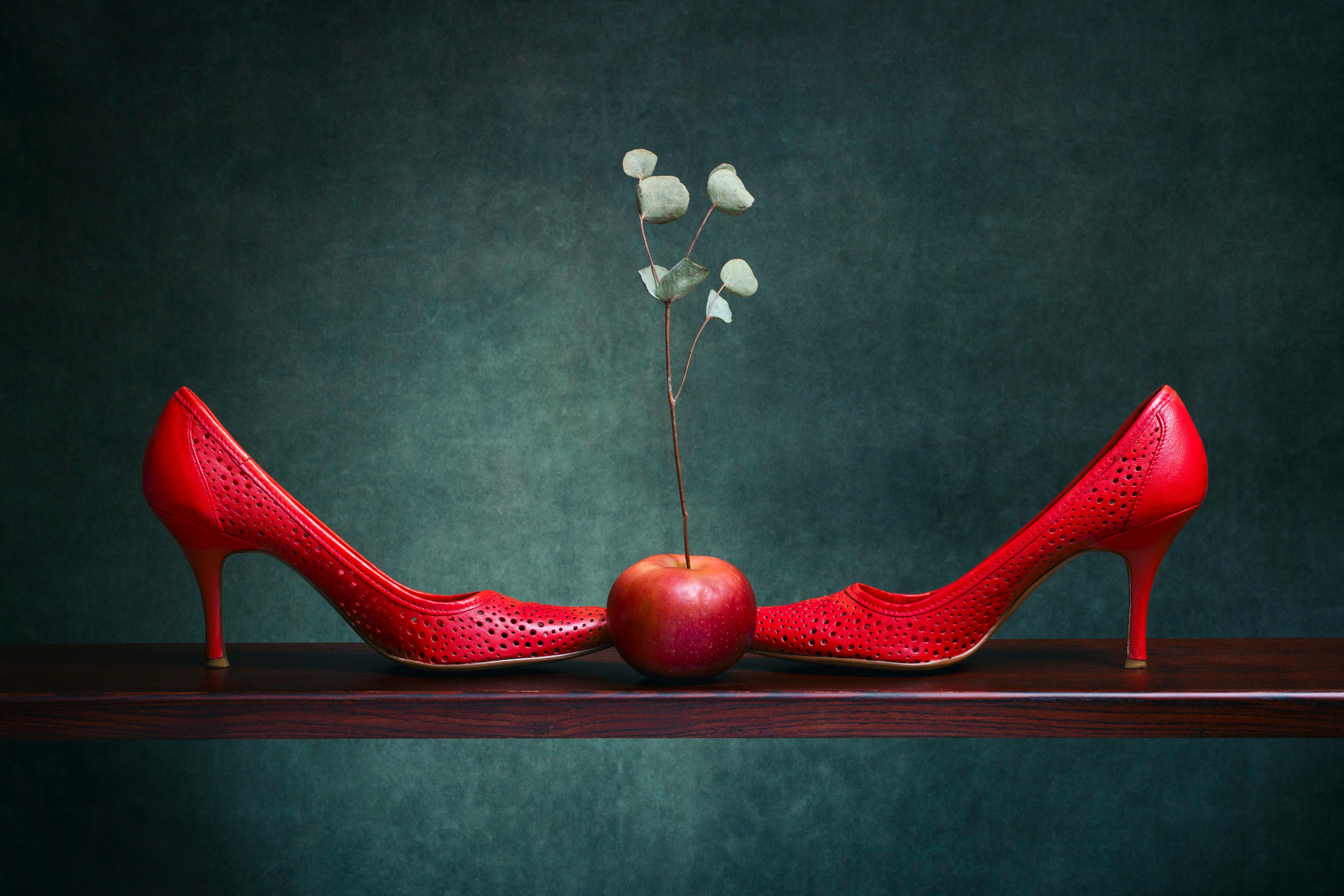 CS 713 Object Oriented Oracle By W Rahayn D Taniar E Pardede