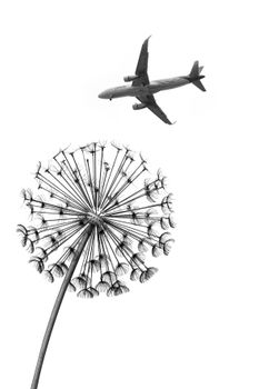 Viagem de avião não é mais um sonho impossível - imagem 1