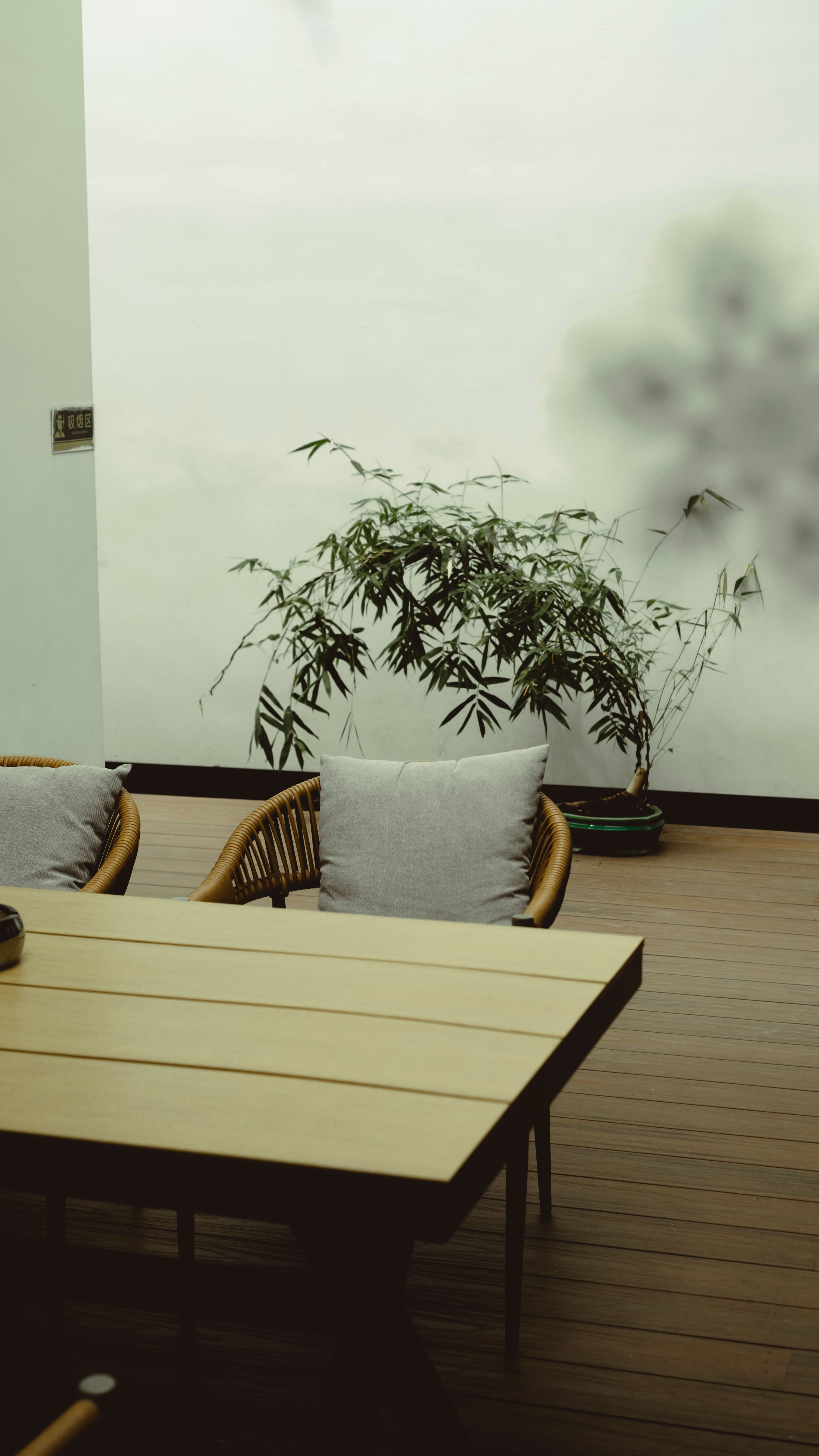 A serene minimalist patio design featuring bamboo plants and outdoor seating.
