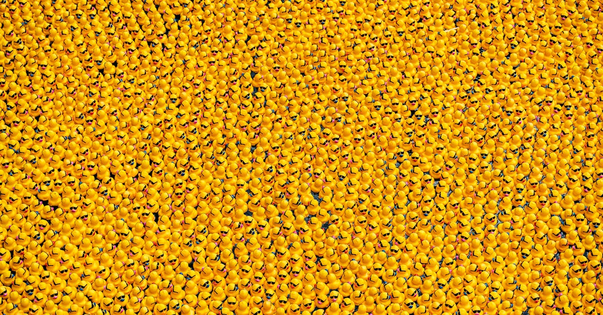 颱風楊柳來襲 宜蘭國際童玩藝術節8 13全天休園