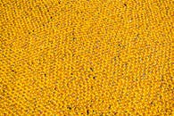 Massive Rubber Duck Display in Chicago View