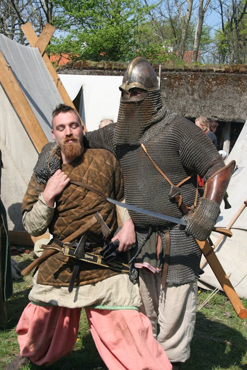 Free stock photo of vikings